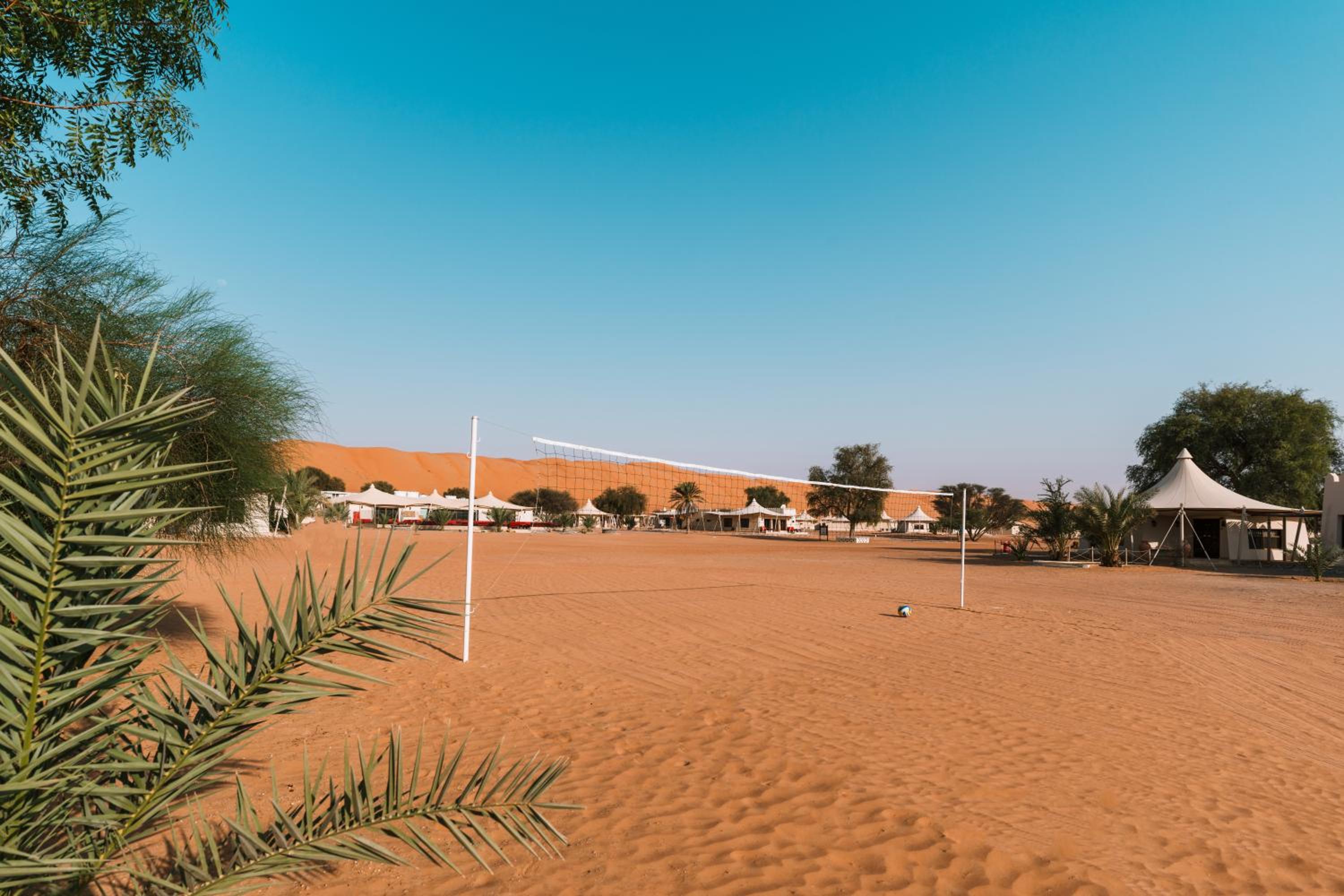 Desert Nights Resort - Inclusive of a Free Sunset Drive and Camel Ride