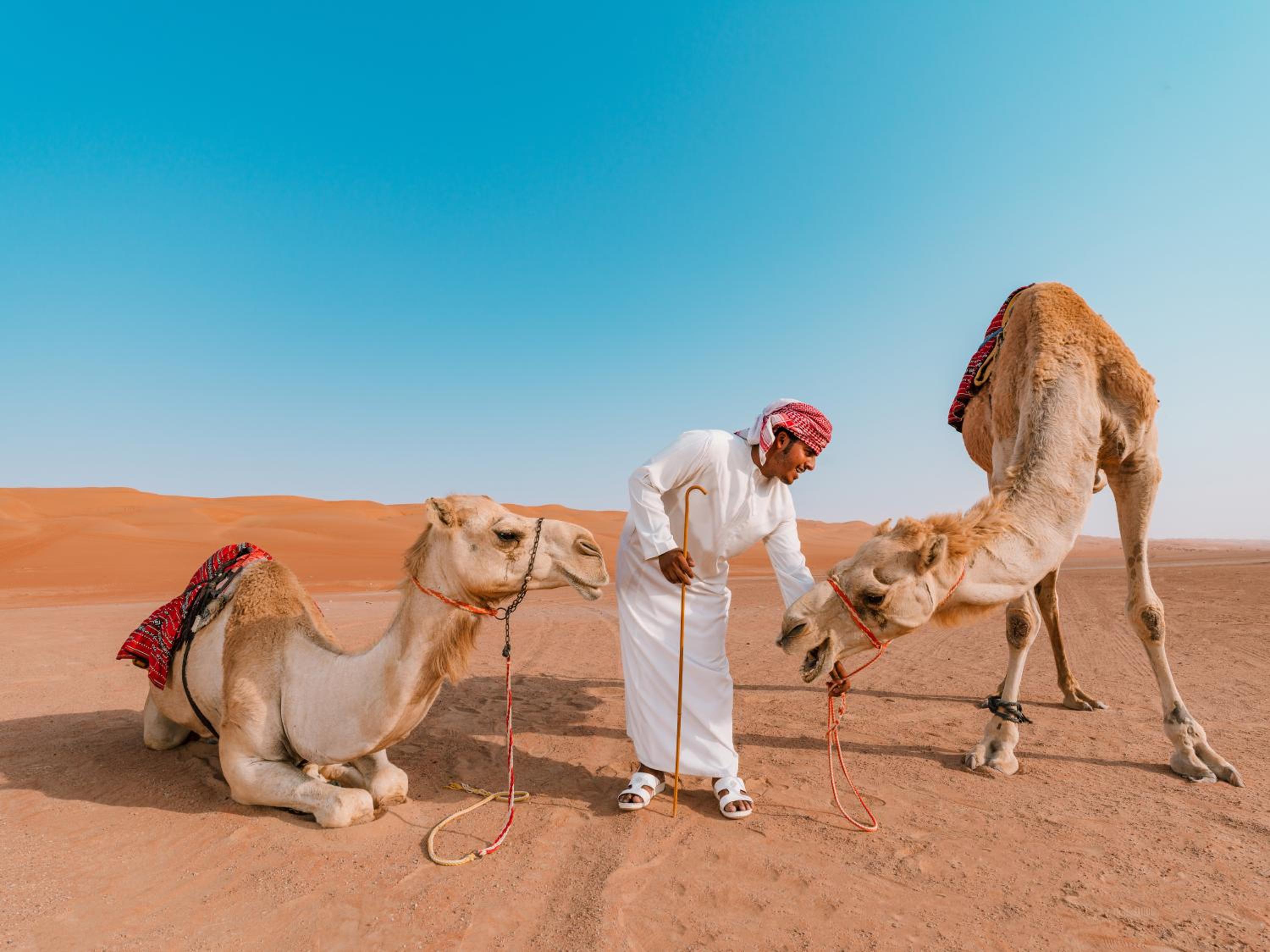 Desert Nights Resort - Inclusive of a Free Sunset Drive and Camel Ride