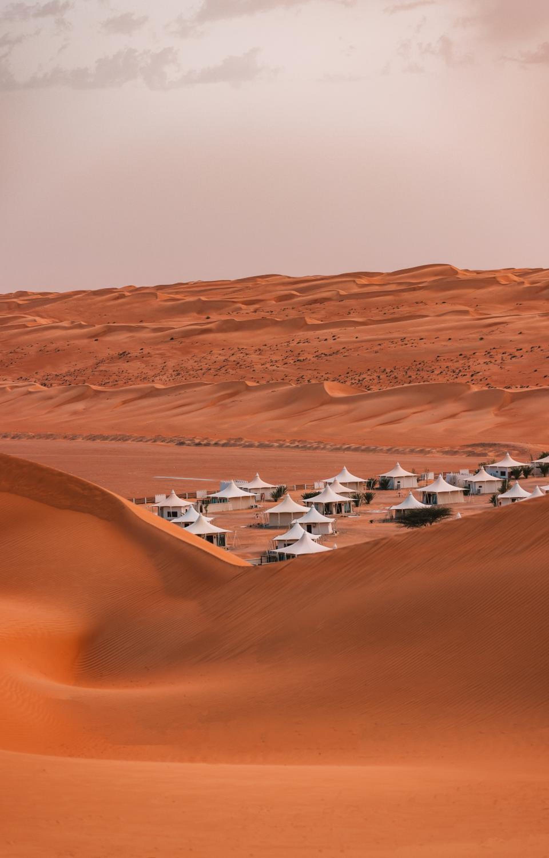 Desert Nights Resort - Inclusive of a Free Sunset Drive and Camel Ride