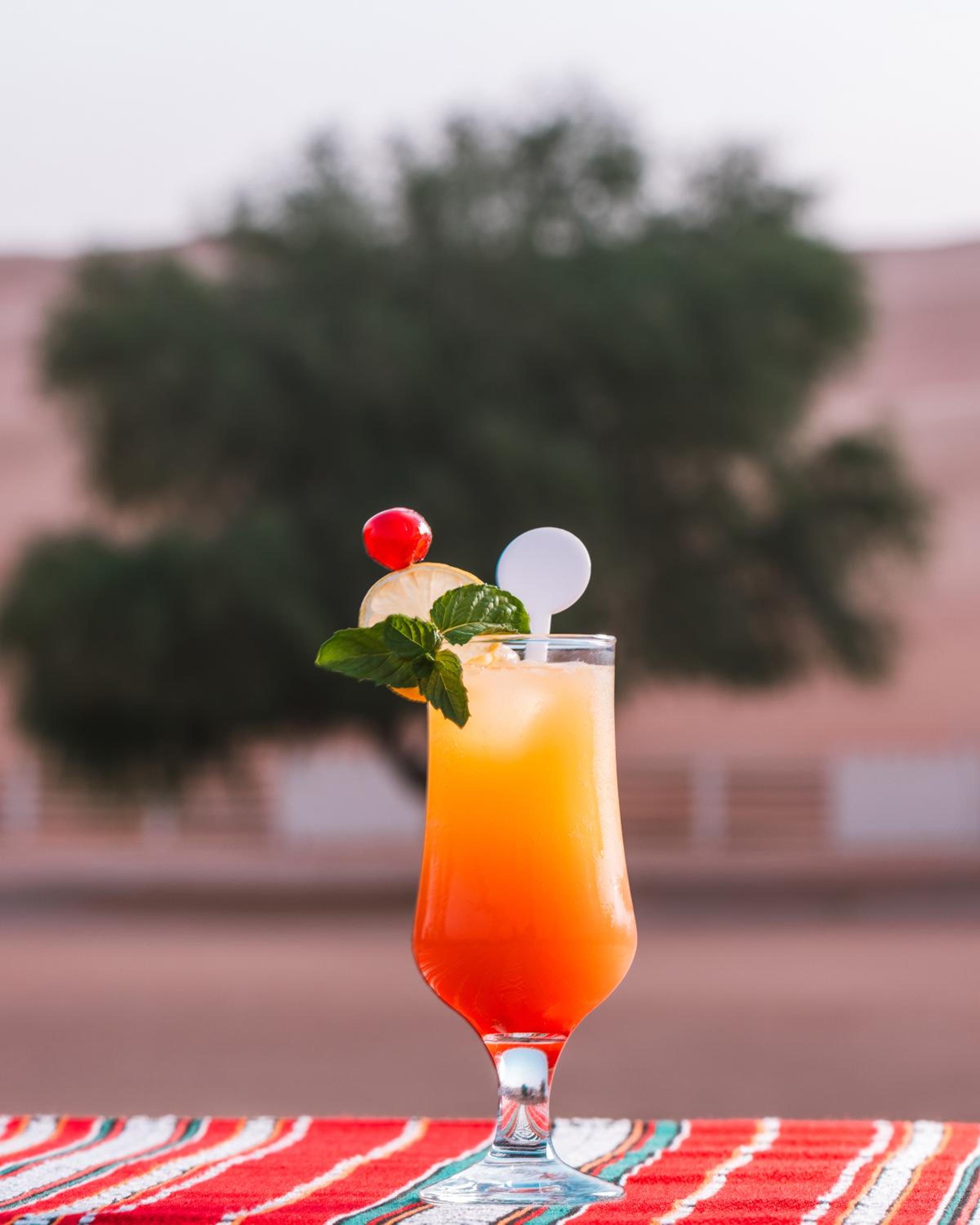 Desert Nights Resort - Inclusive of a Free Sunset Drive and Camel Ride