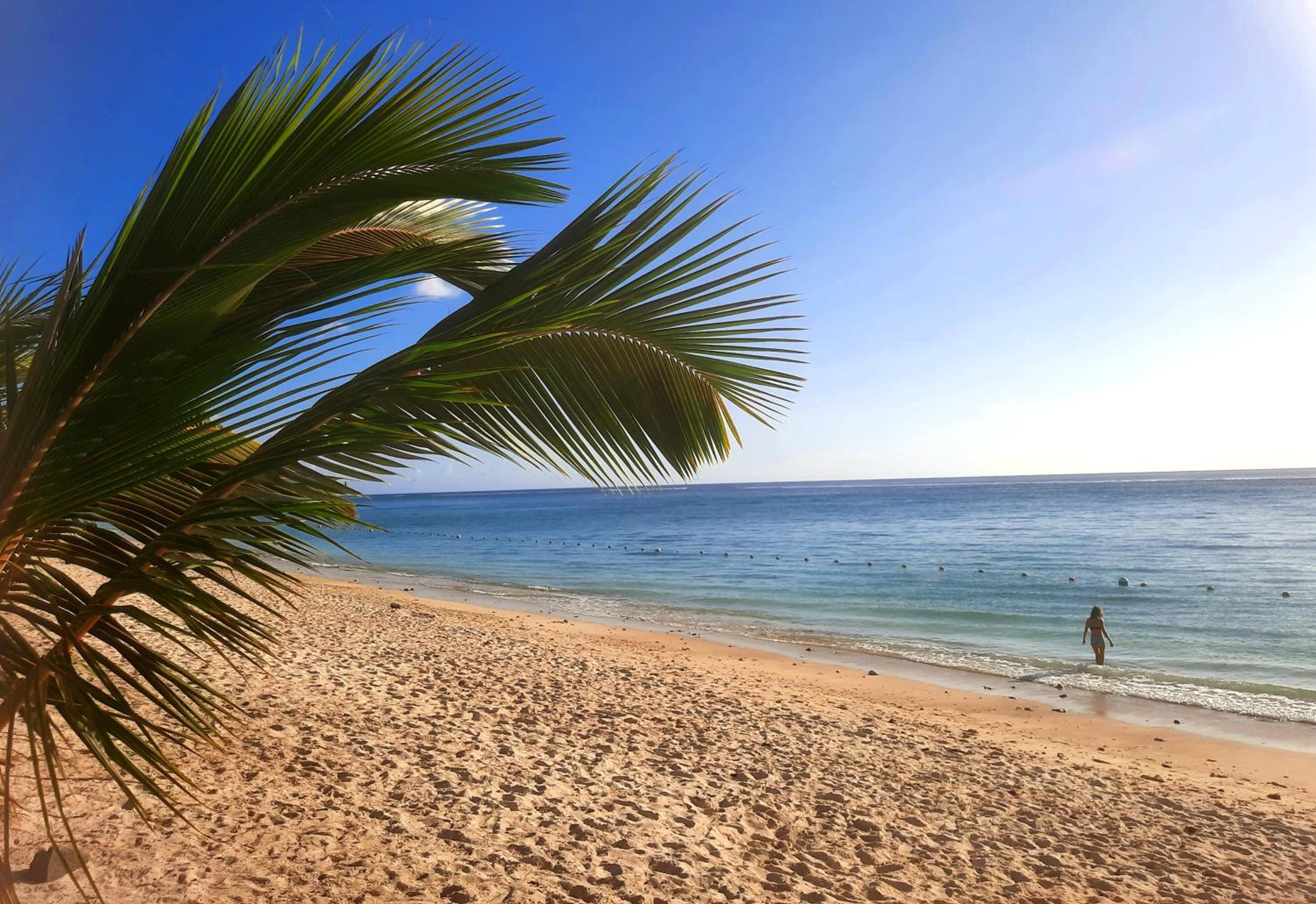 Modern apartment - Excellent location 50m from the beach, restaurants, bars, shops view 3