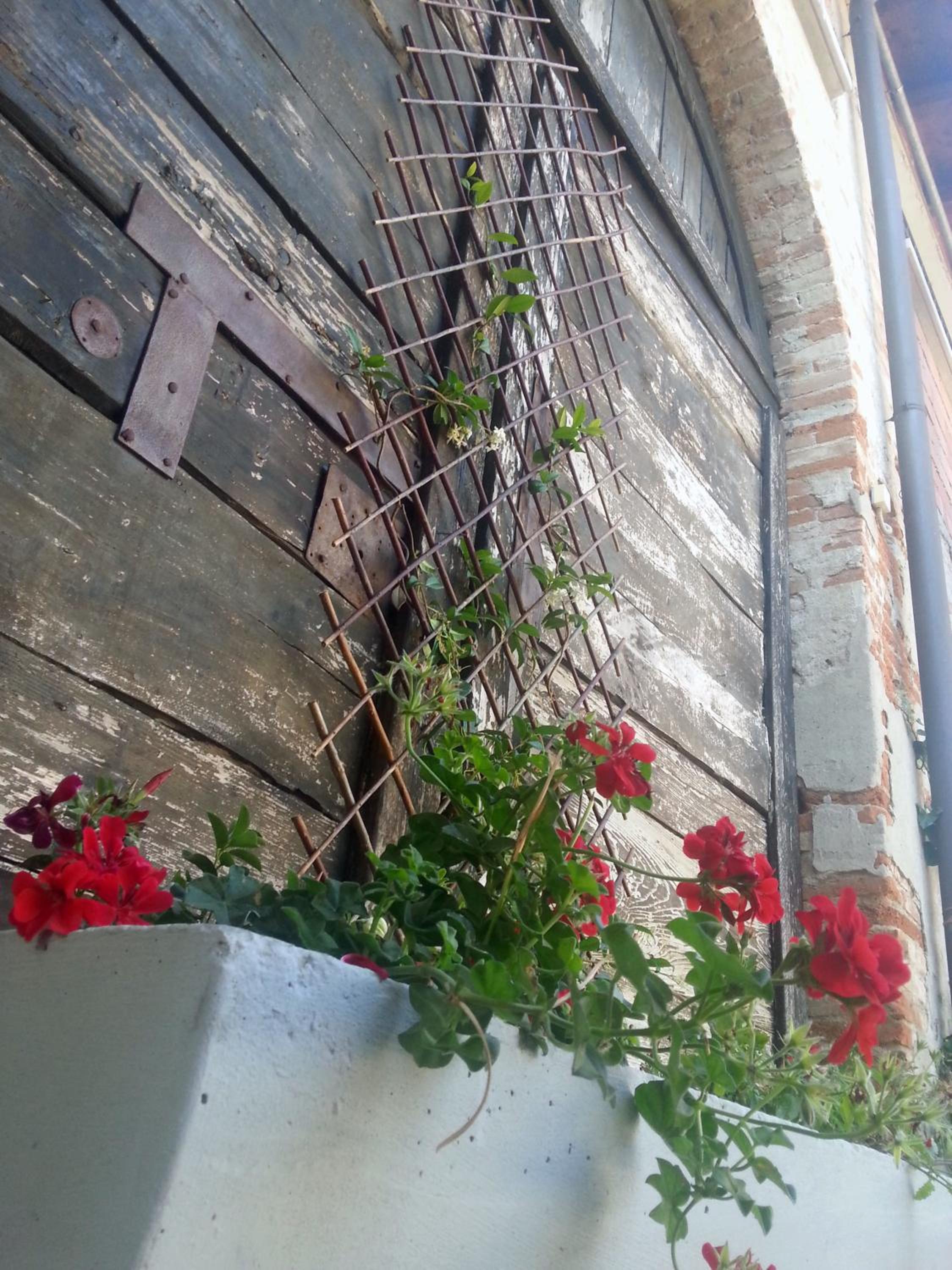 Photo 44