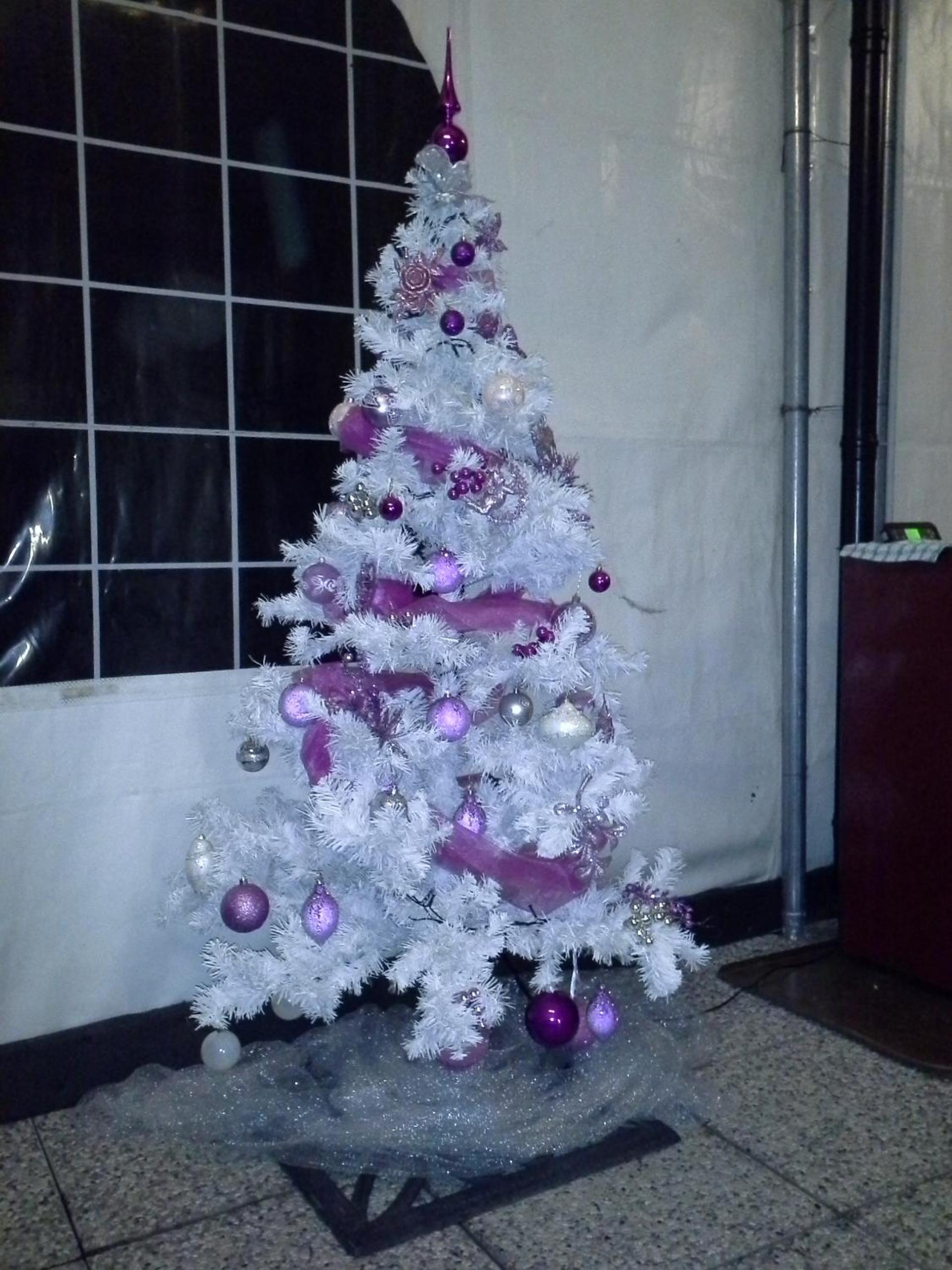 Photo 40