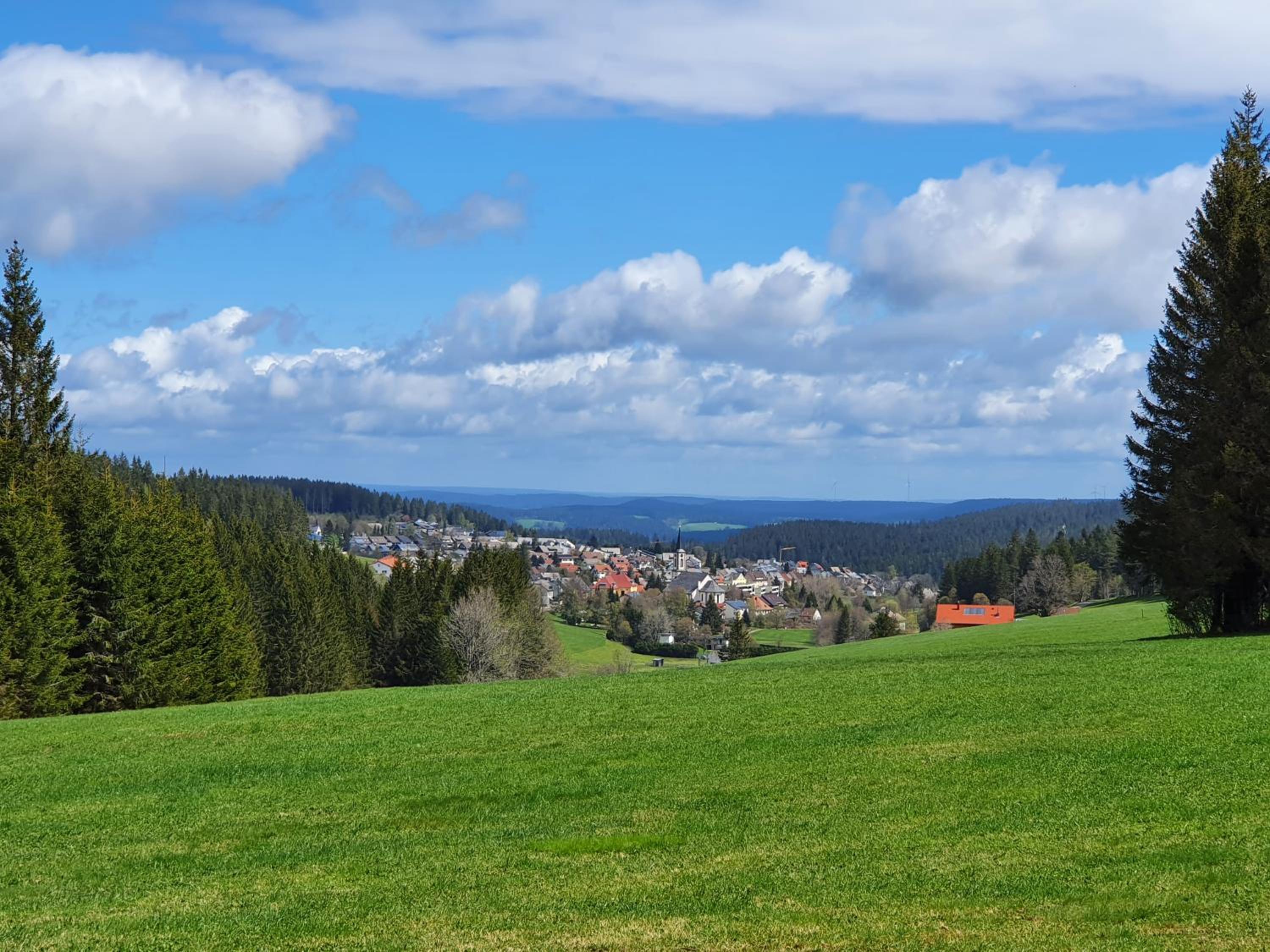 Ferienhaus-Schönwald im Herzen des Schwarzwaldes 2Zimmer-Wohnung mit Dachterrasse und Balkon App 25 view 3