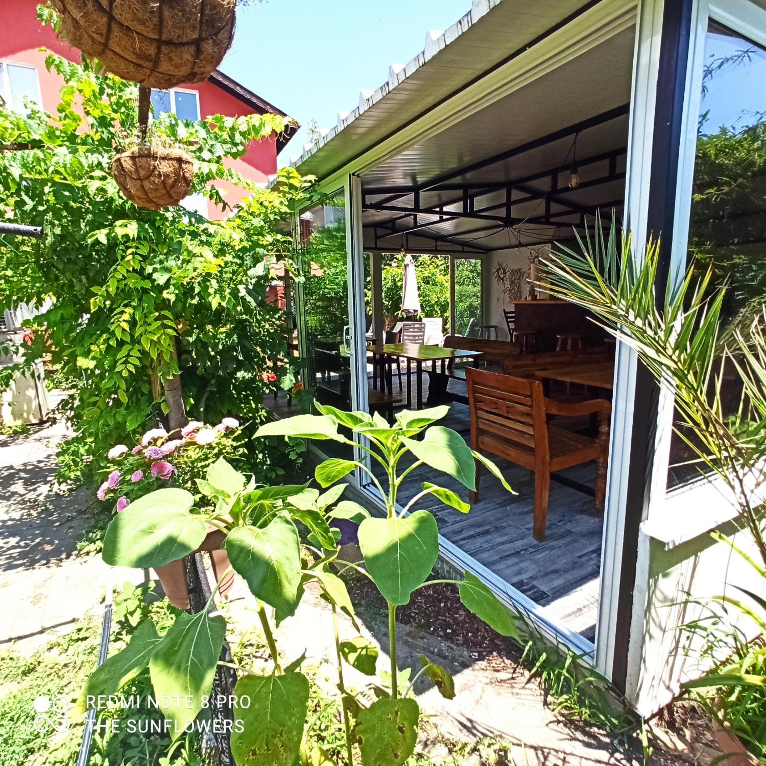 Guest House Sunflowers