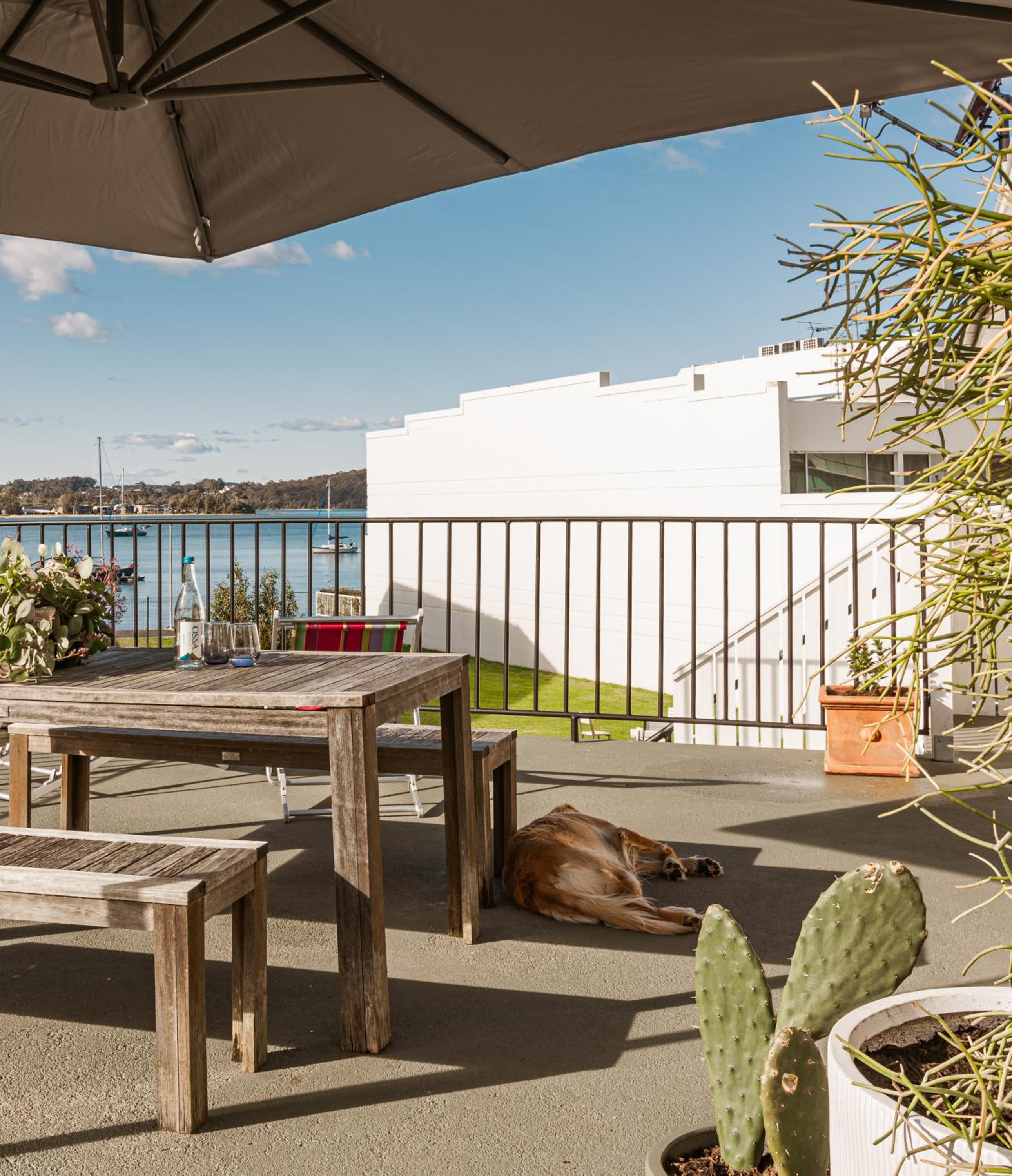 balance & terrace