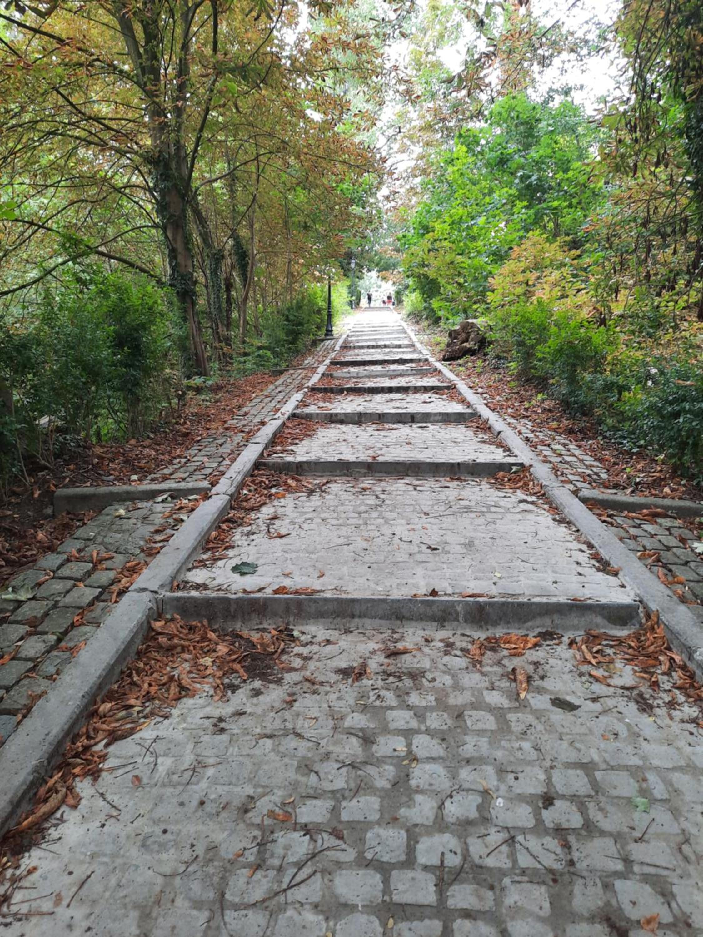 Huisje op de Muur van Geraardsbergen