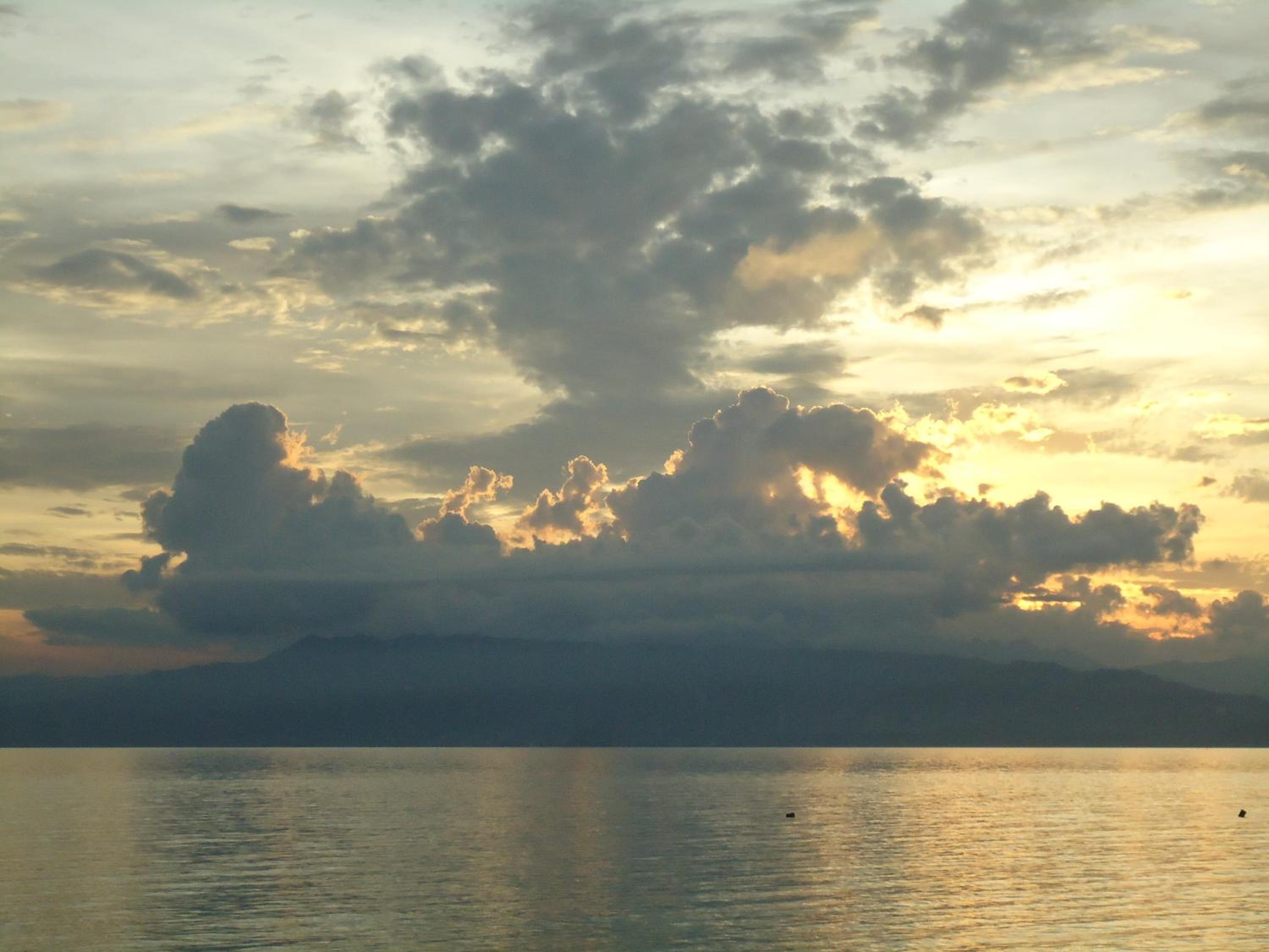 Photo 42