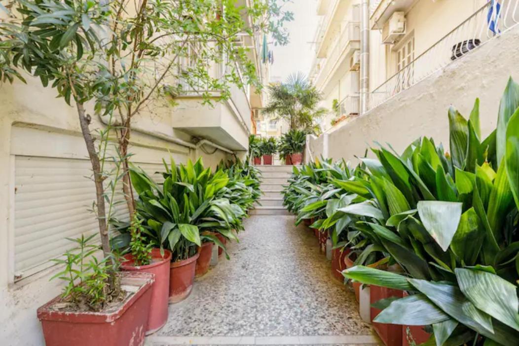 Lovely small (parterre) apartment in Thessaloniki view 2