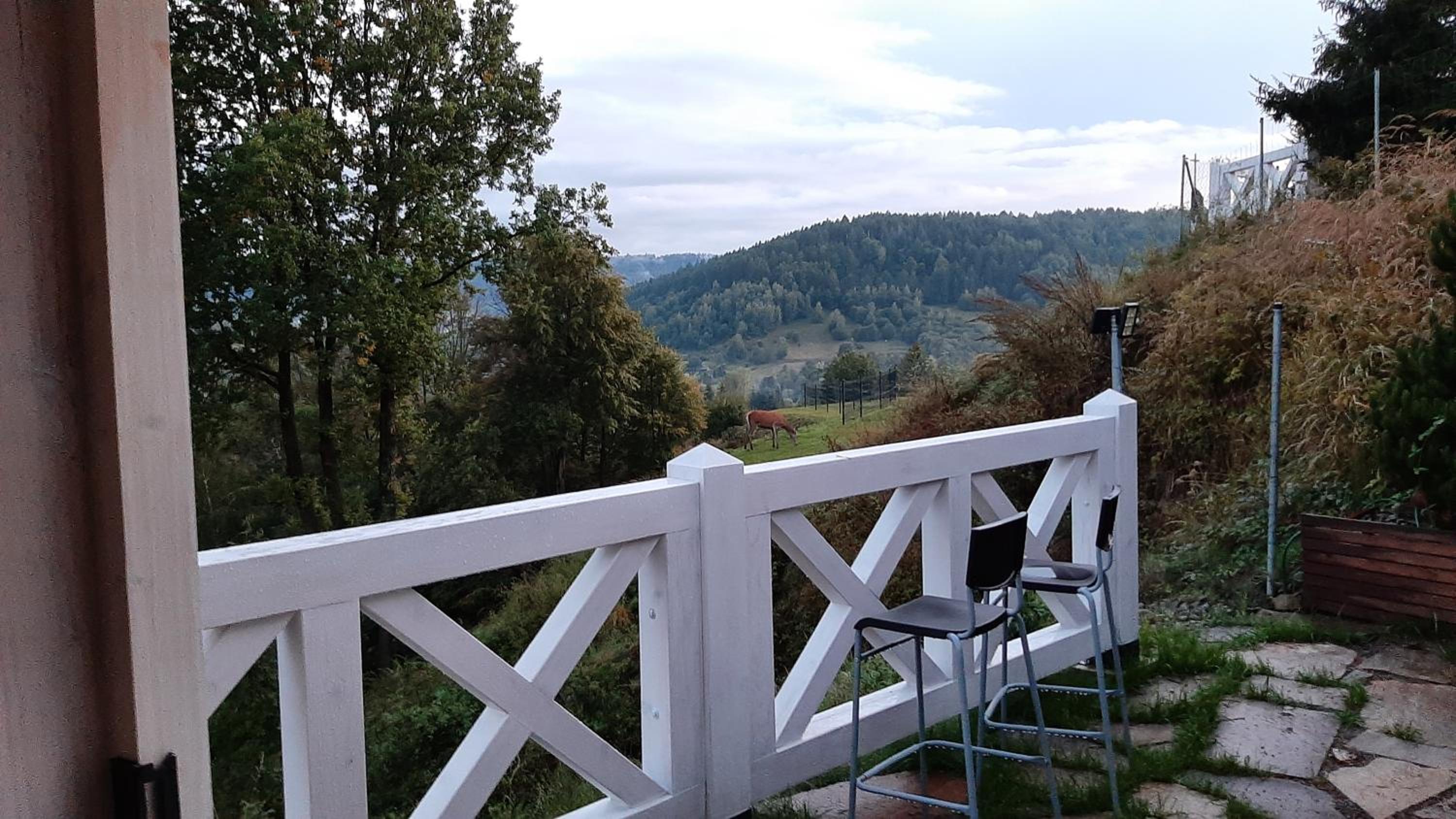 Apartamenty 73 view 5