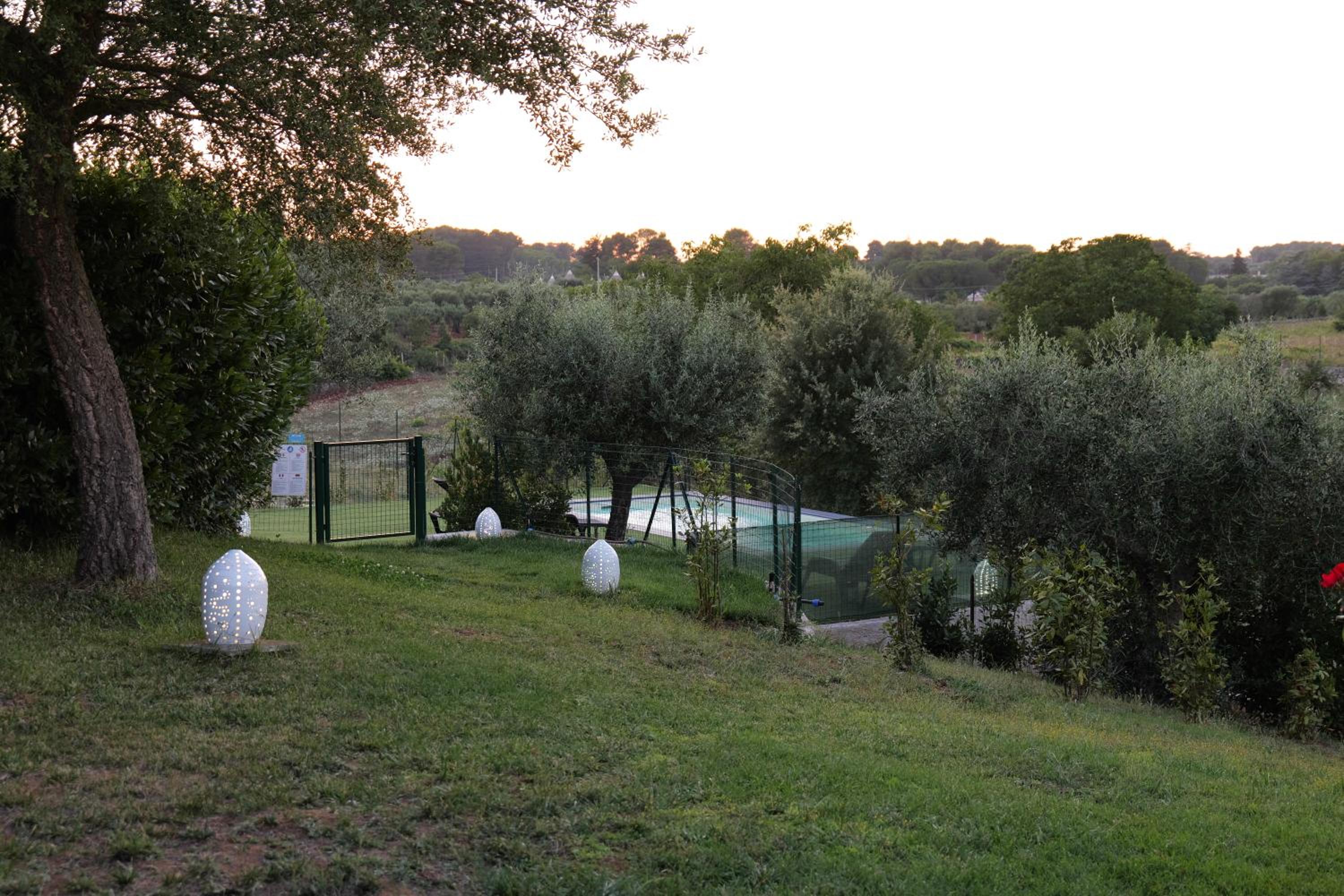 Photo 22