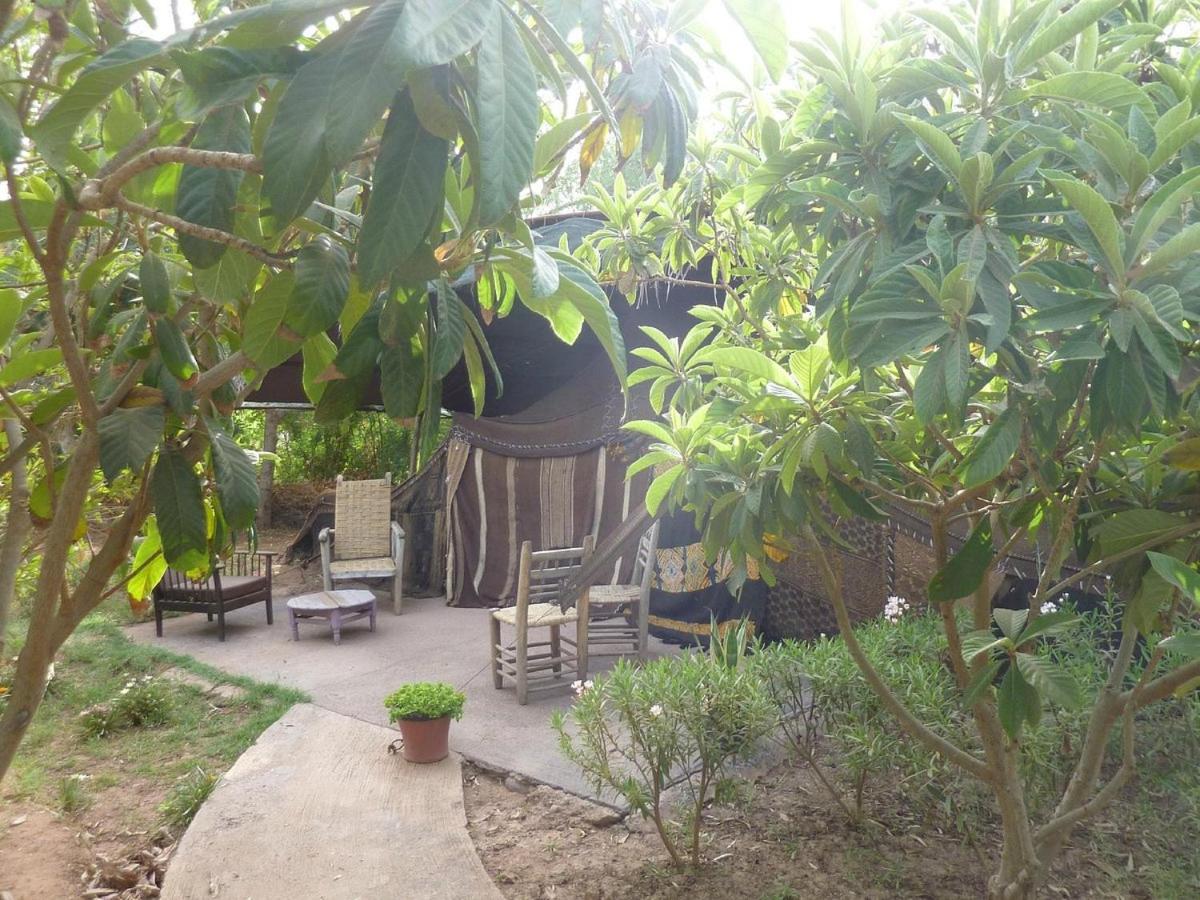 La Ferme Berbere Adult only