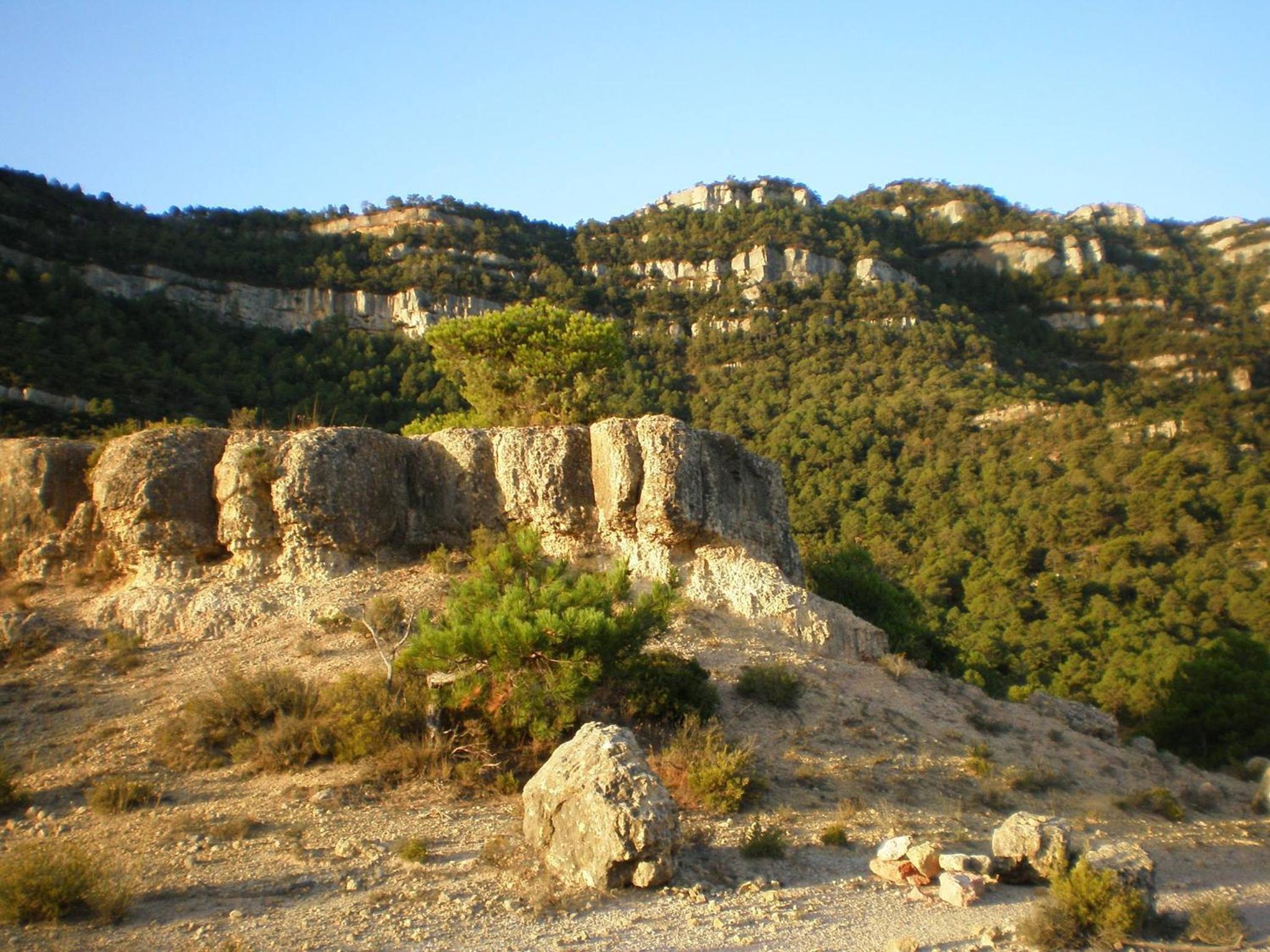 Photo 29
