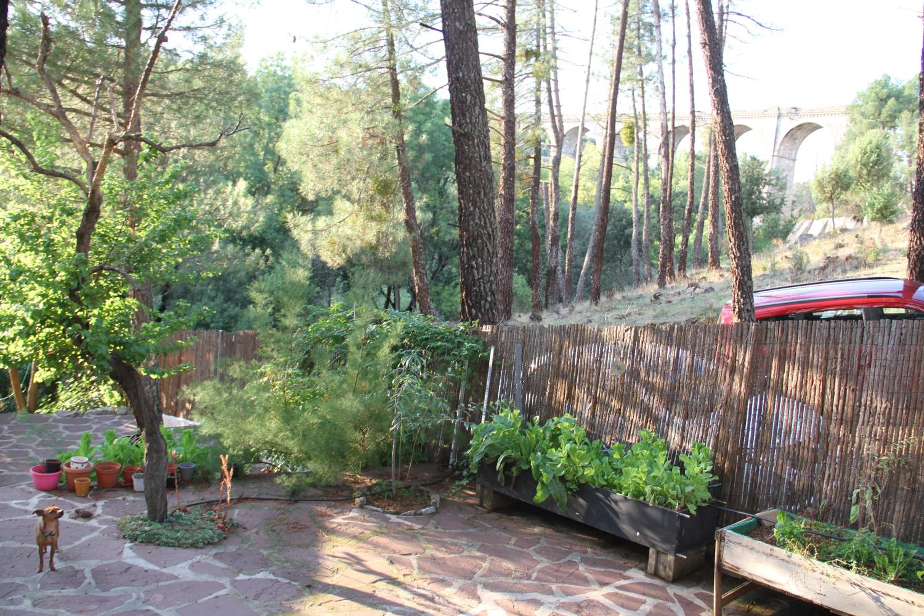 Photo 29