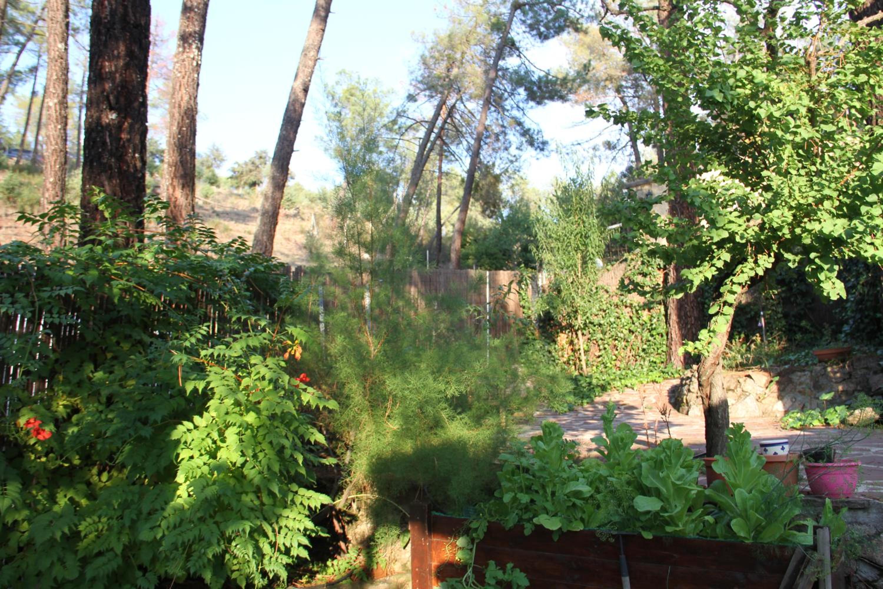 Photo 30