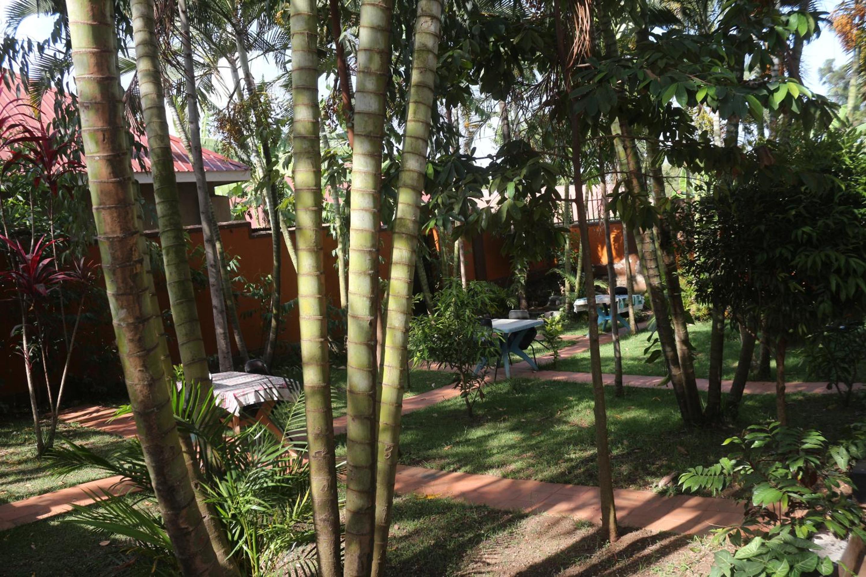 Photo 47