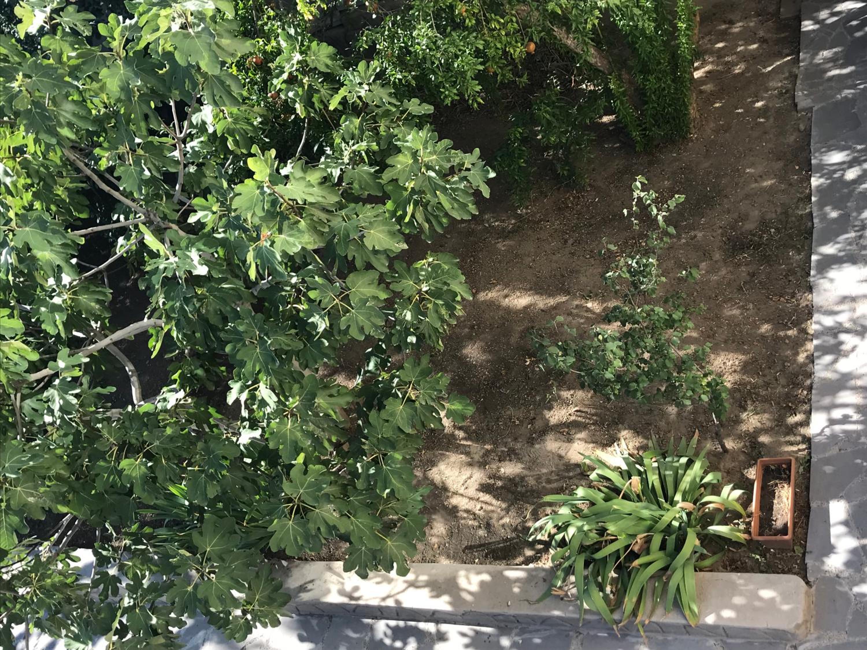 Guest House Eden view 5
