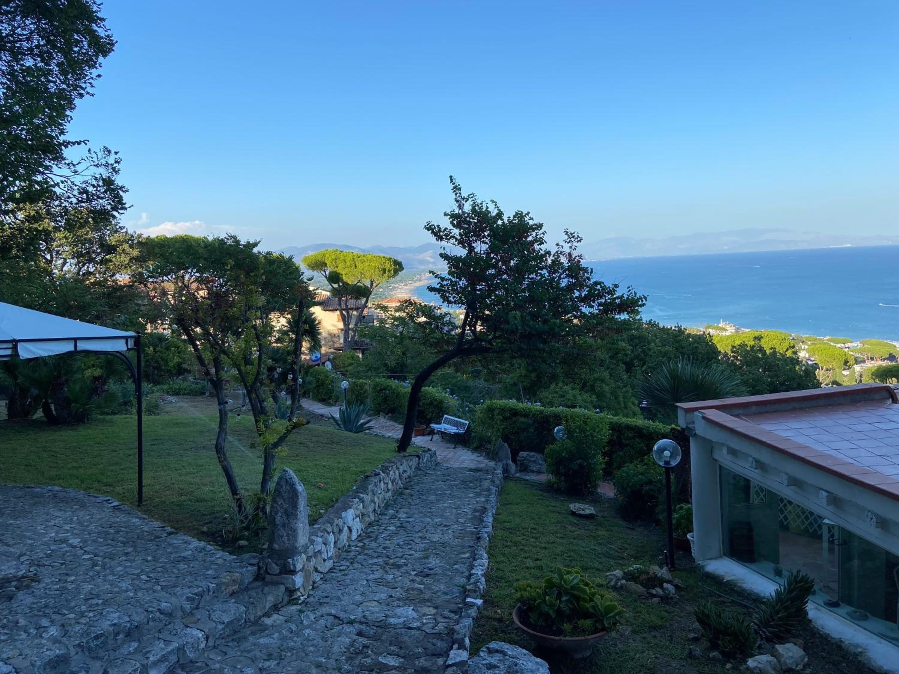 Ippocampo Blanc