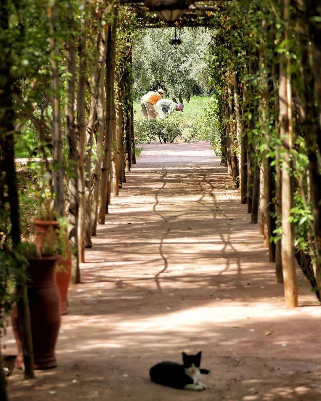 La Ferme Berbere Adult only