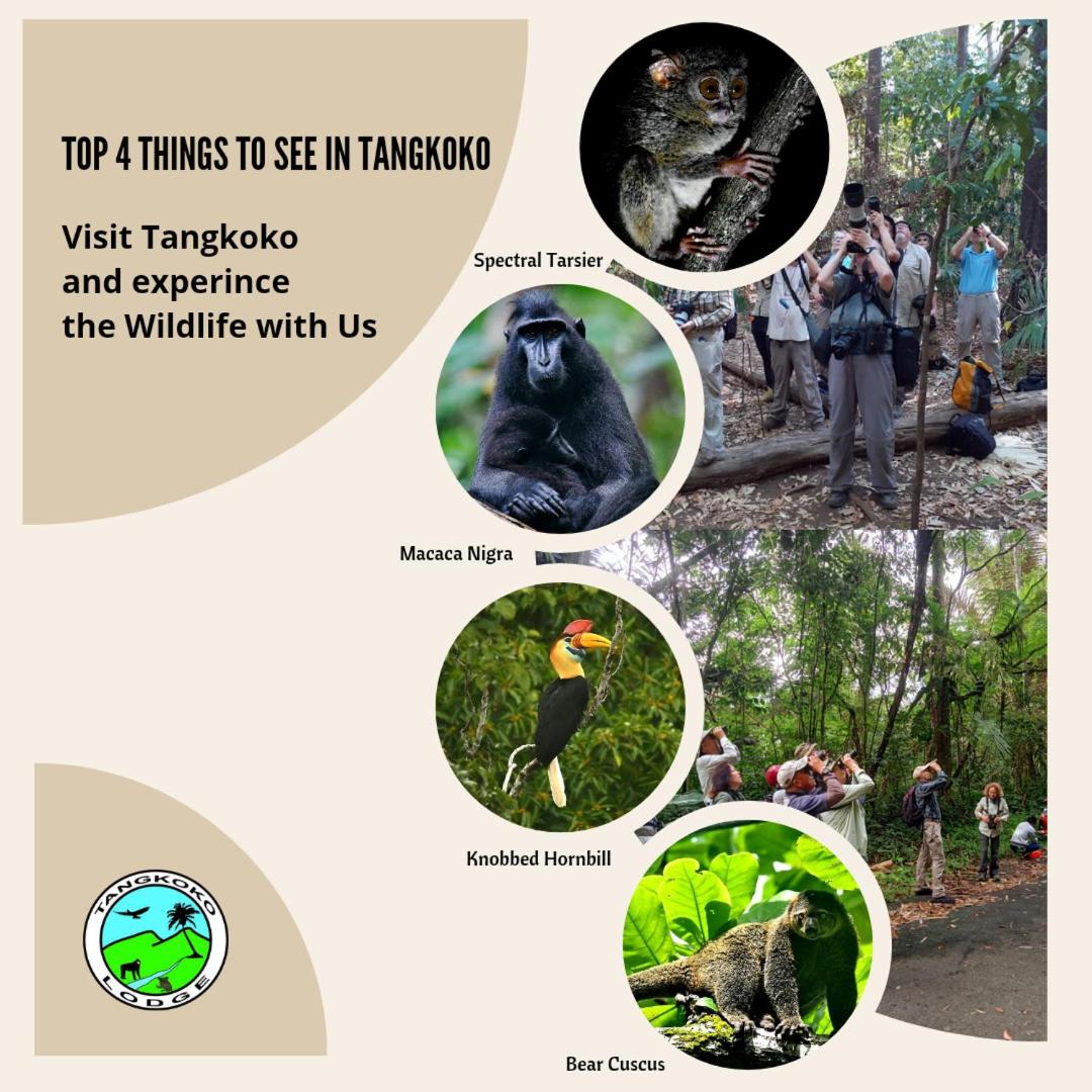 Tangkoko Lodge