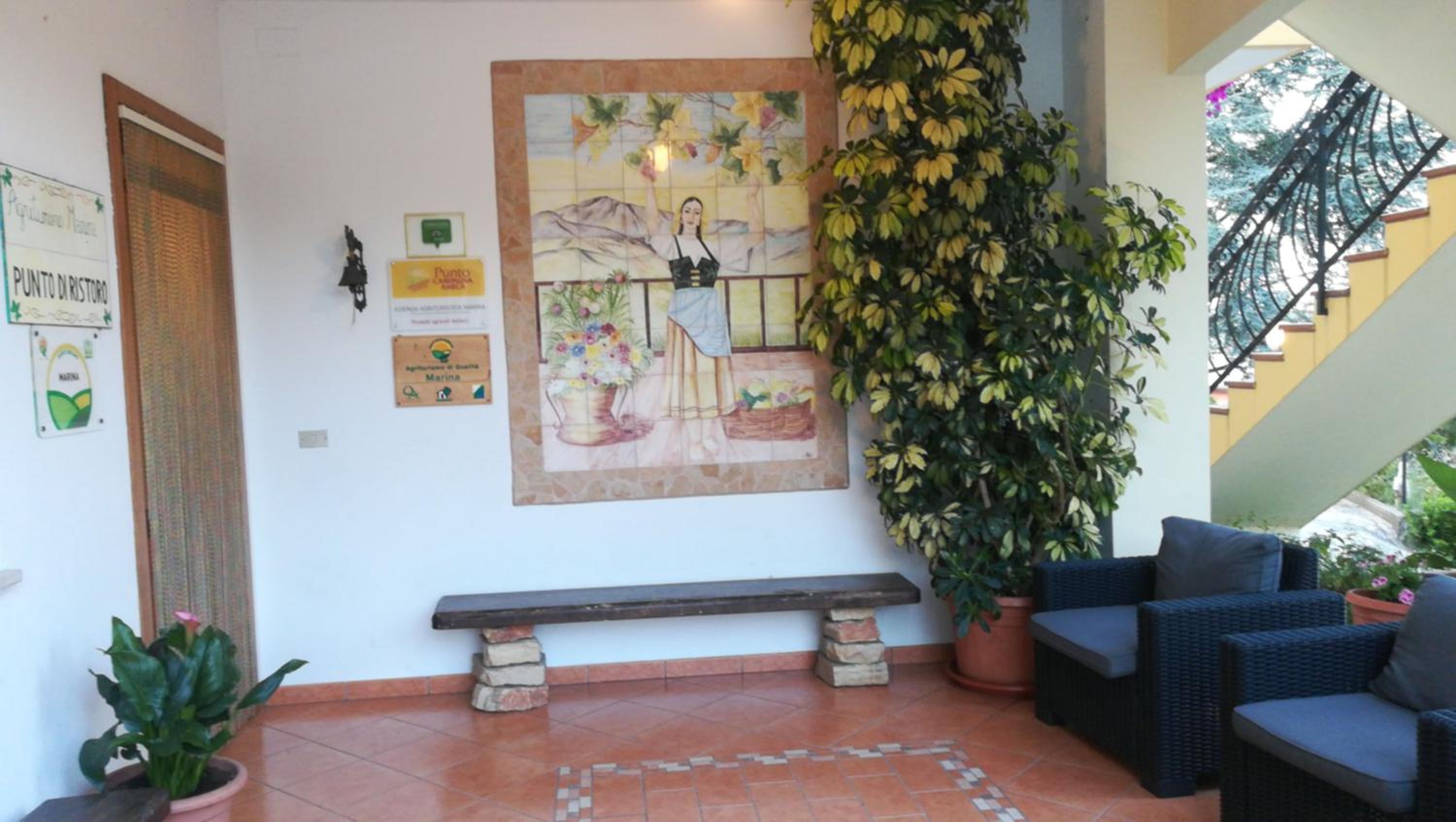 recepcion & lobby