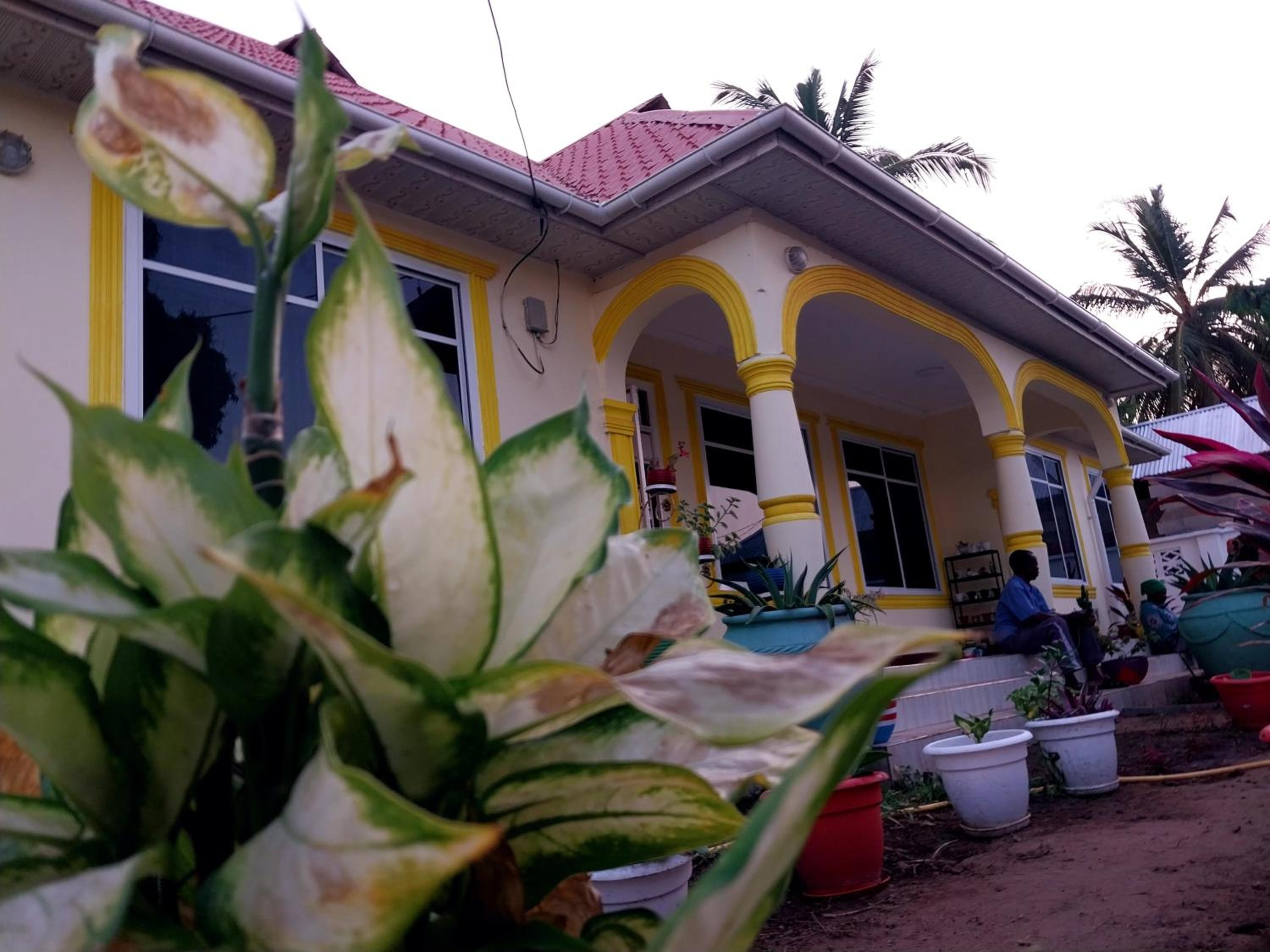 Photo 41