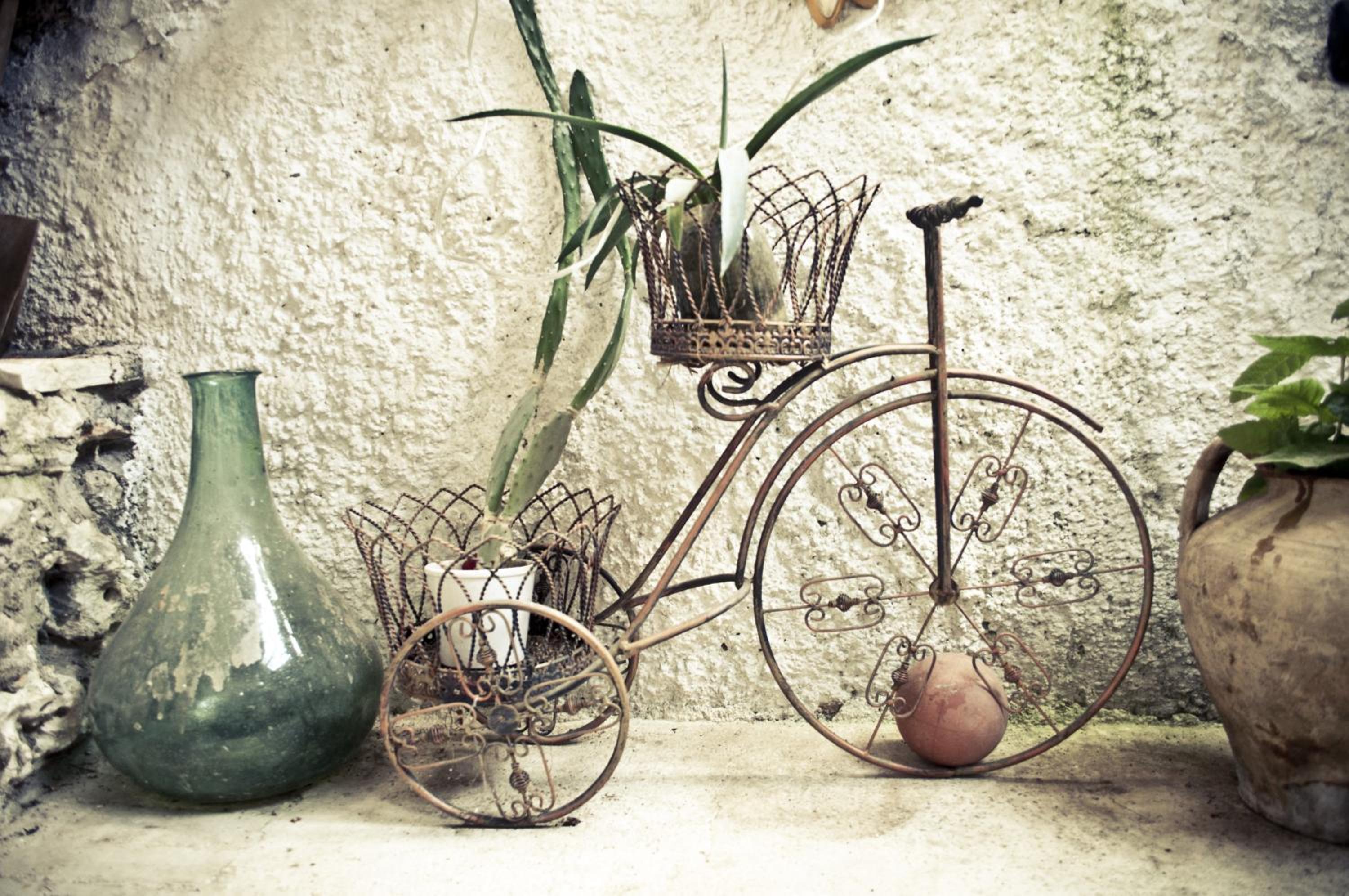 Photo 44