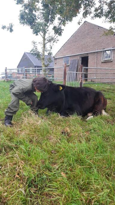 De Kaasmakerij - Ruim vakantiehuisje op Huize Blokland, photo 15