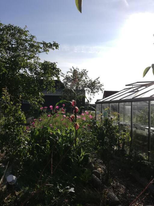 De Kaasmakerij - Ruim vakantiehuisje op Huize Blokland, photo 14