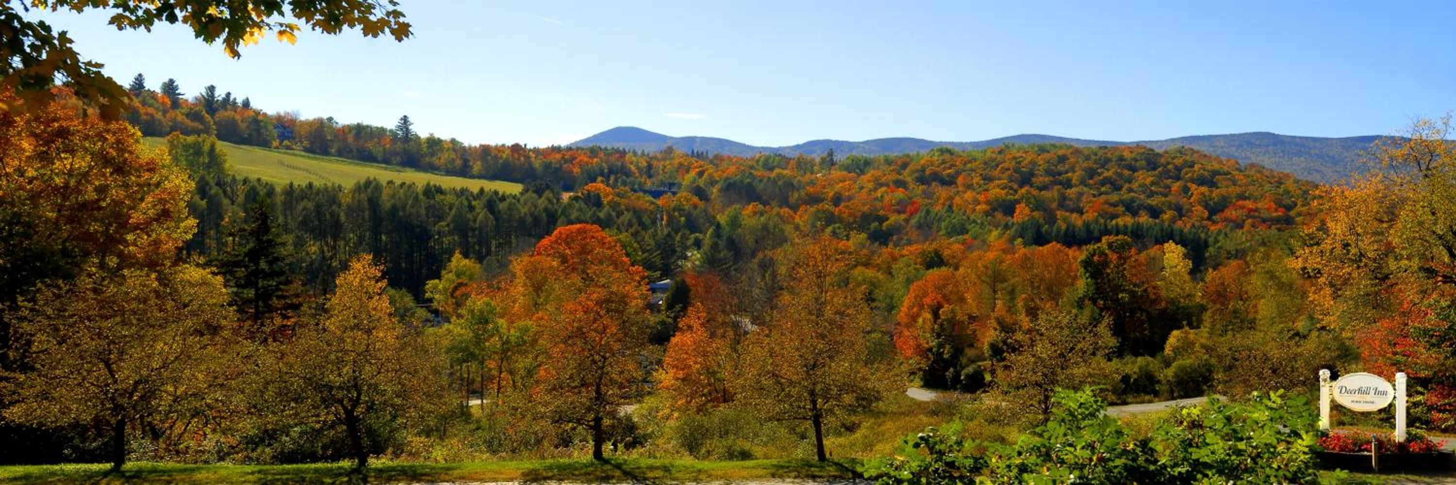 Deerhill Inn view 5