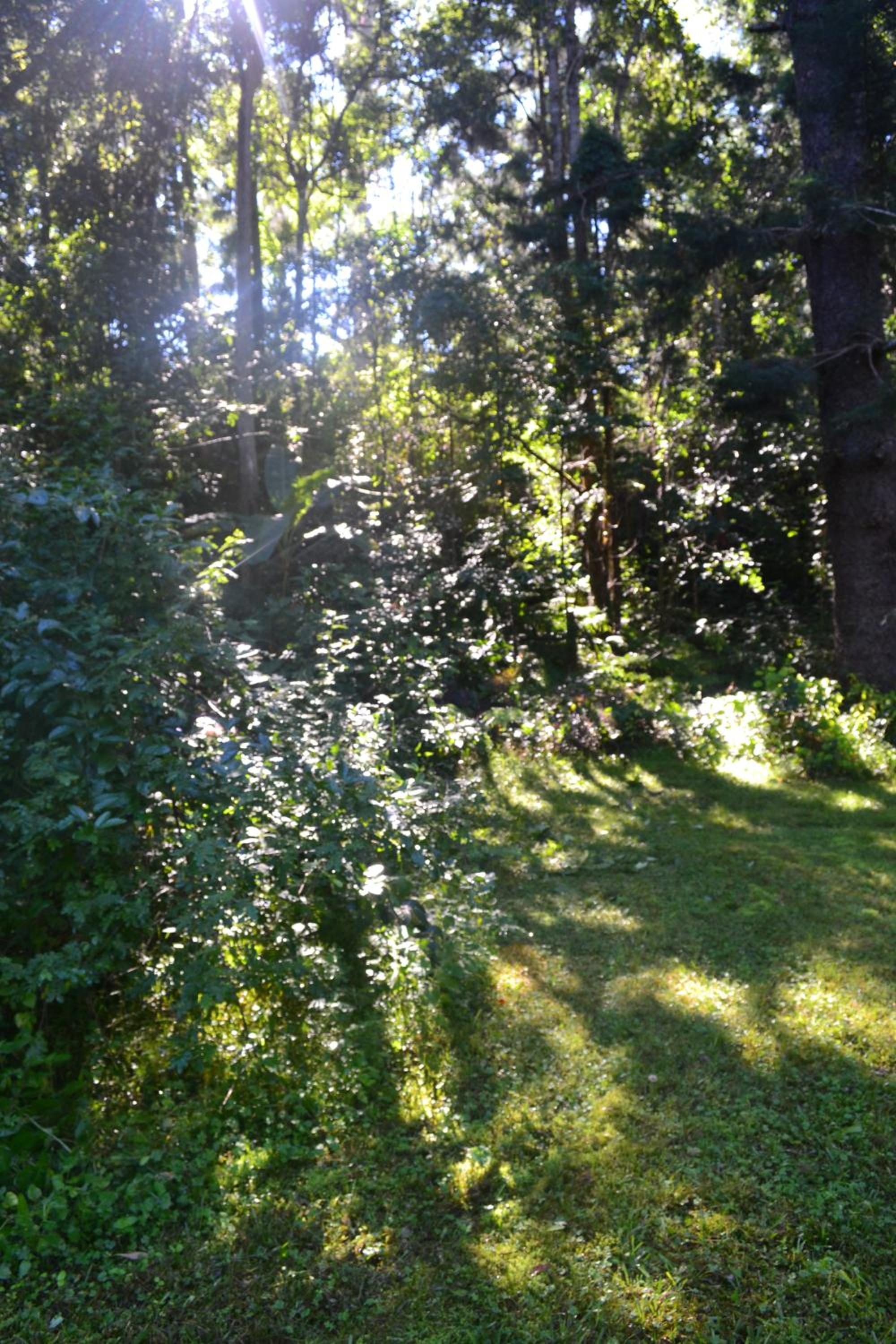 Tuckers Retreat