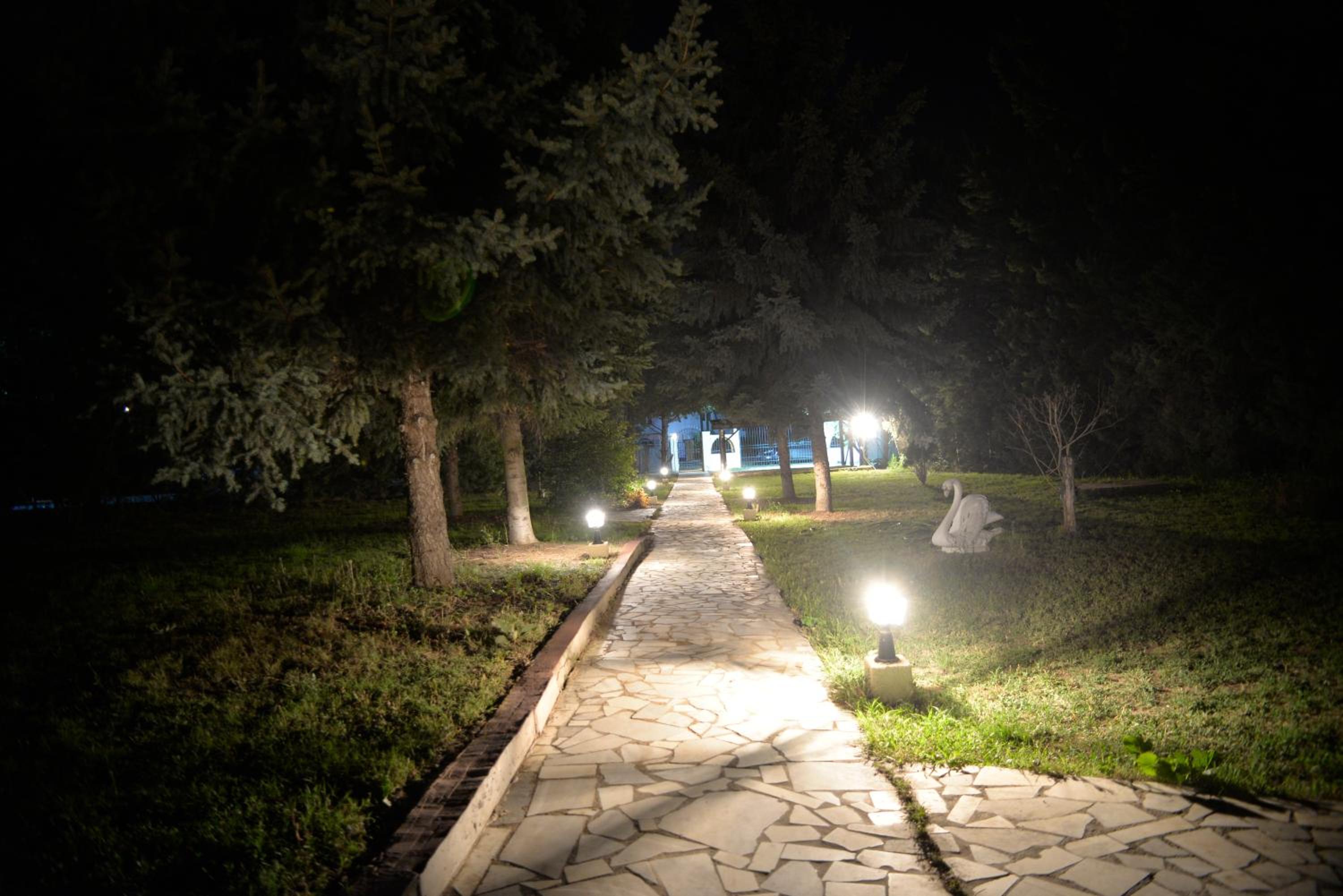 Photo 36