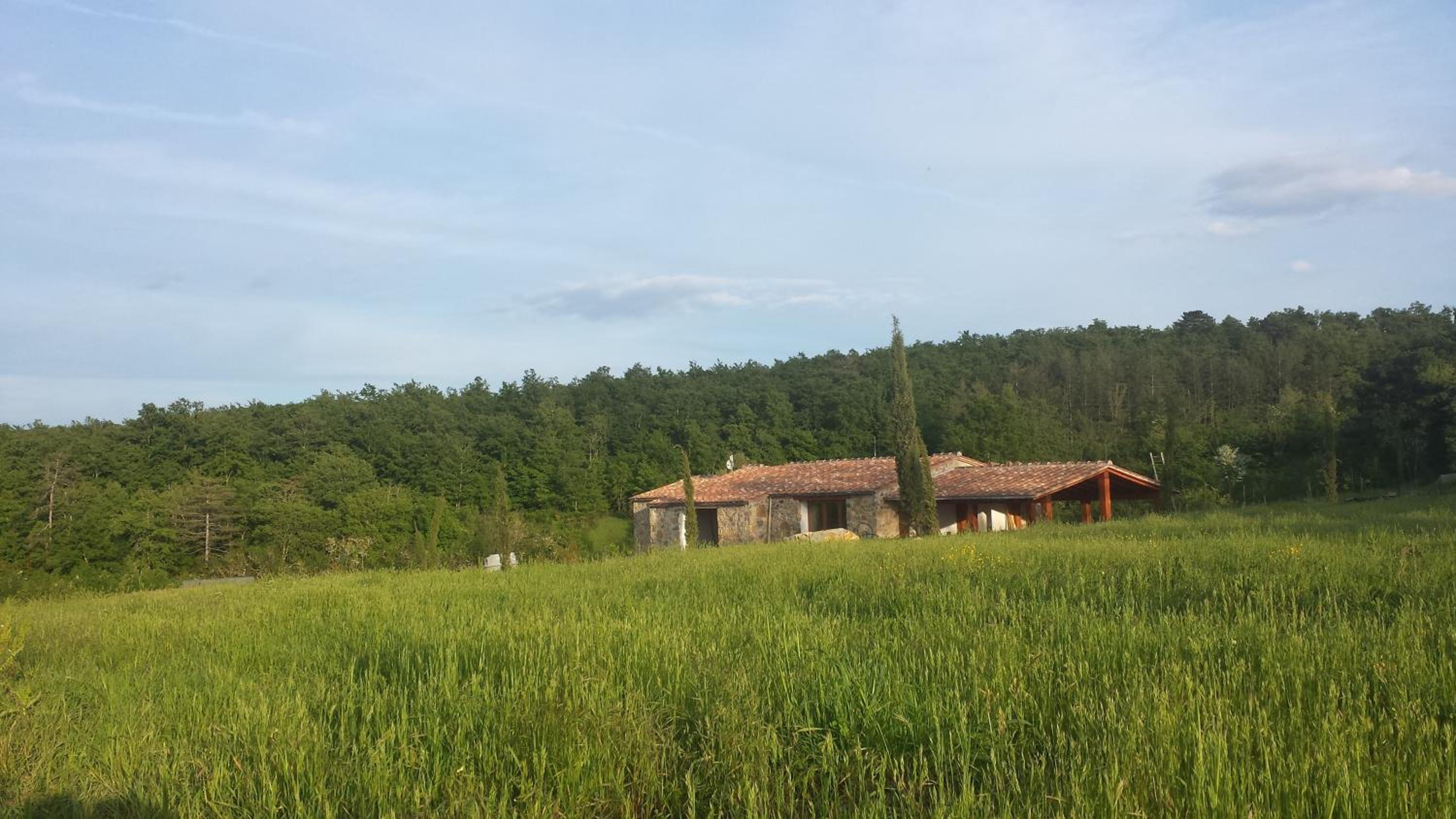 Photo 14
