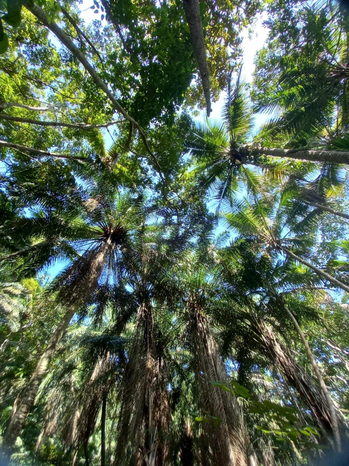 Photo 44