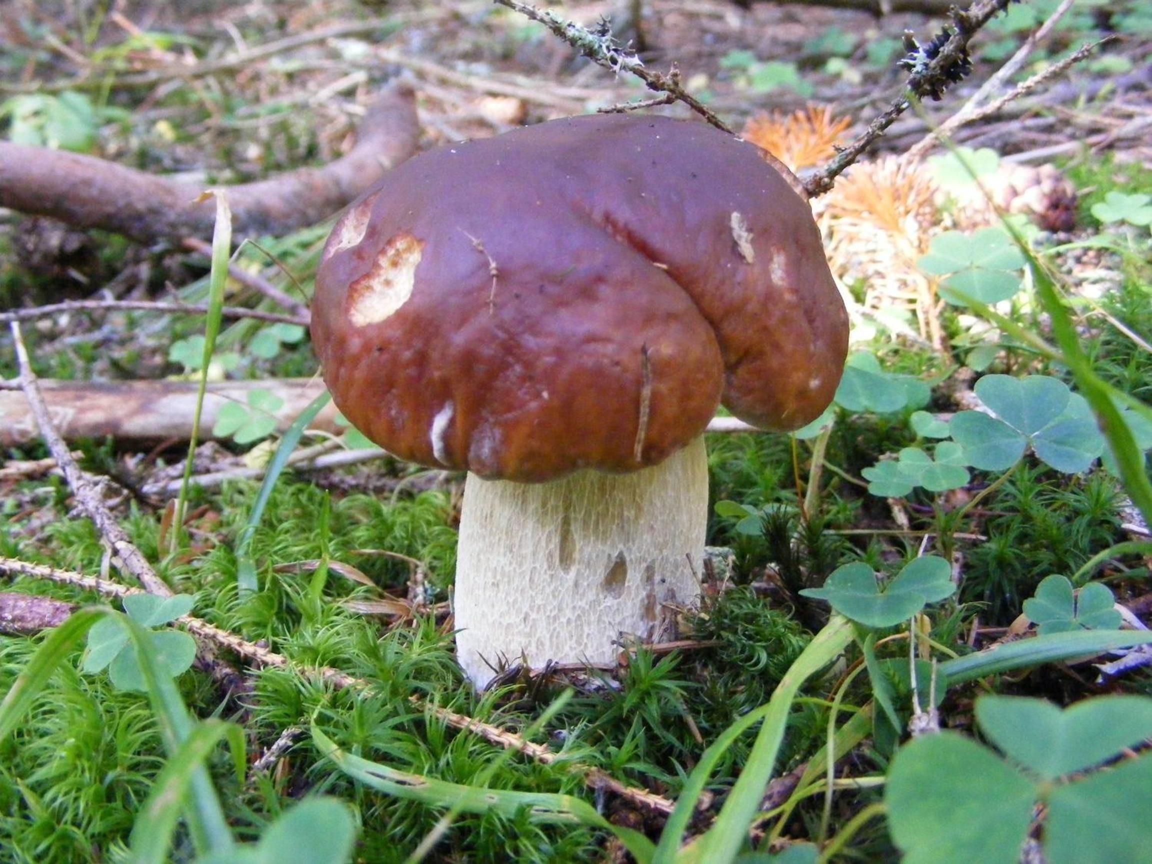 Photo 24