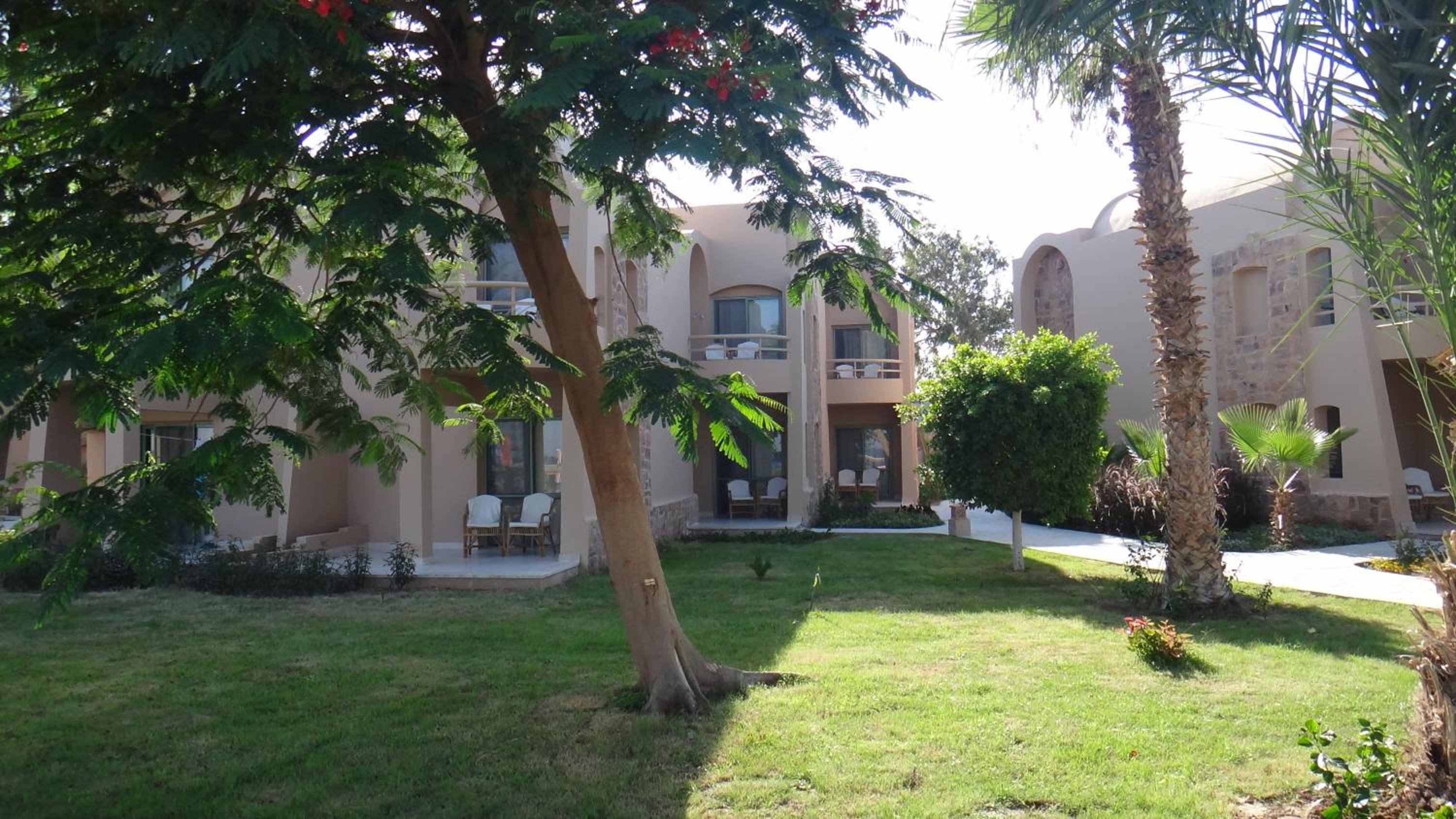 Shams Alam Beach Resort — photo 201