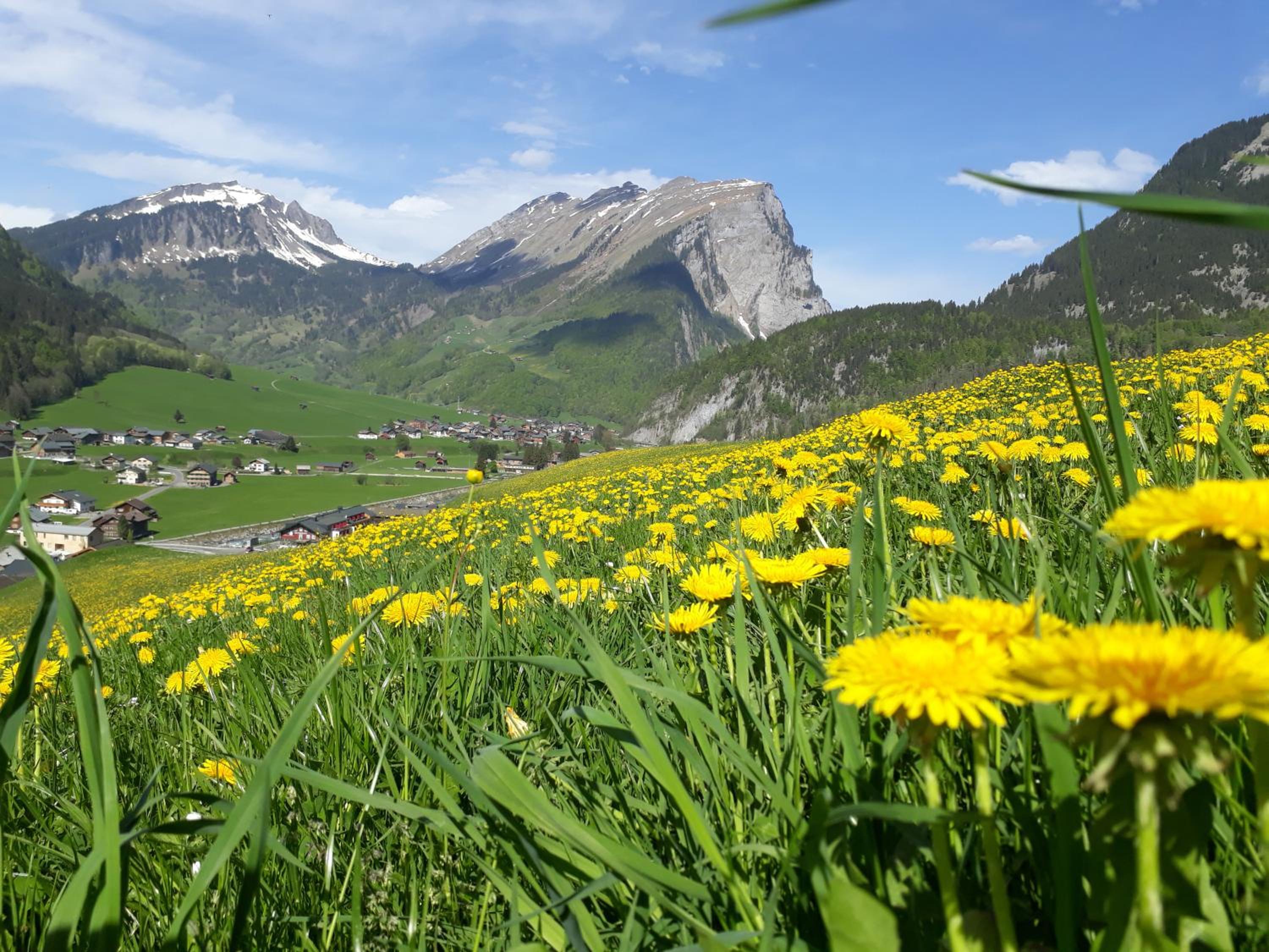 Fernblick Frühstückspension