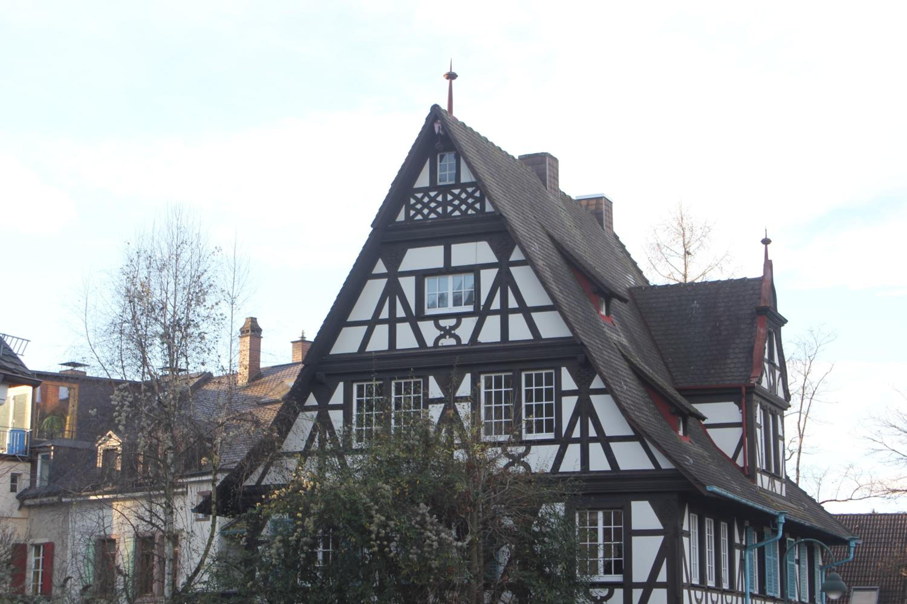 Photo 13