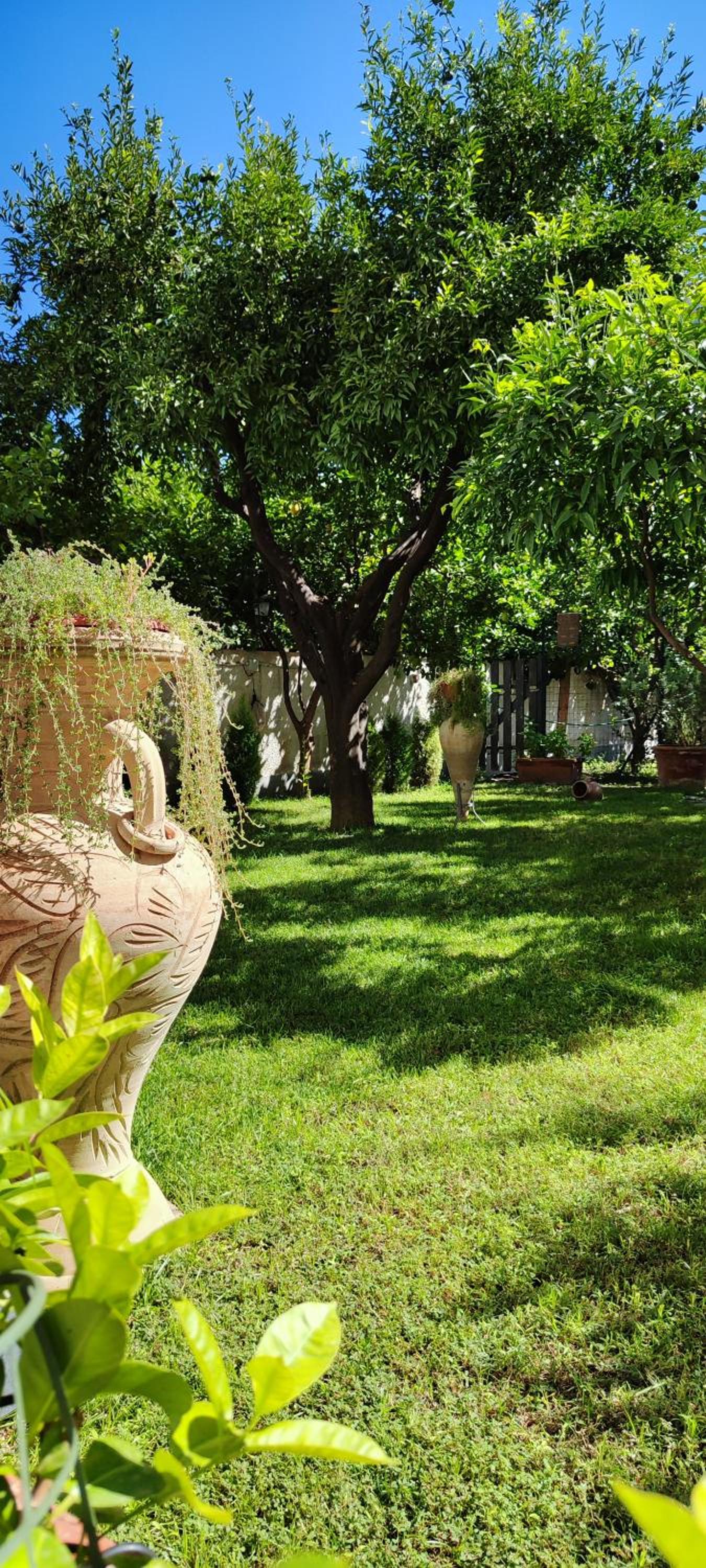 Casa Teresinella Garden view 5