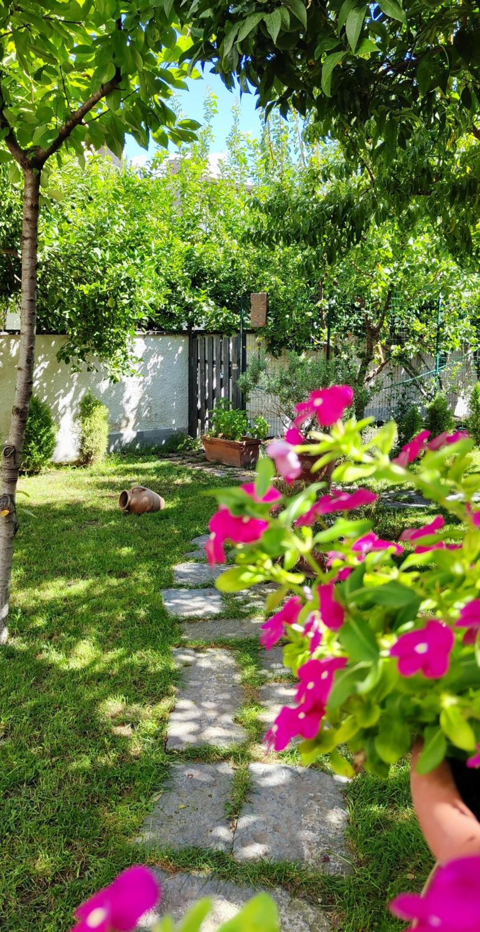 Casa Teresinella Garden view 4