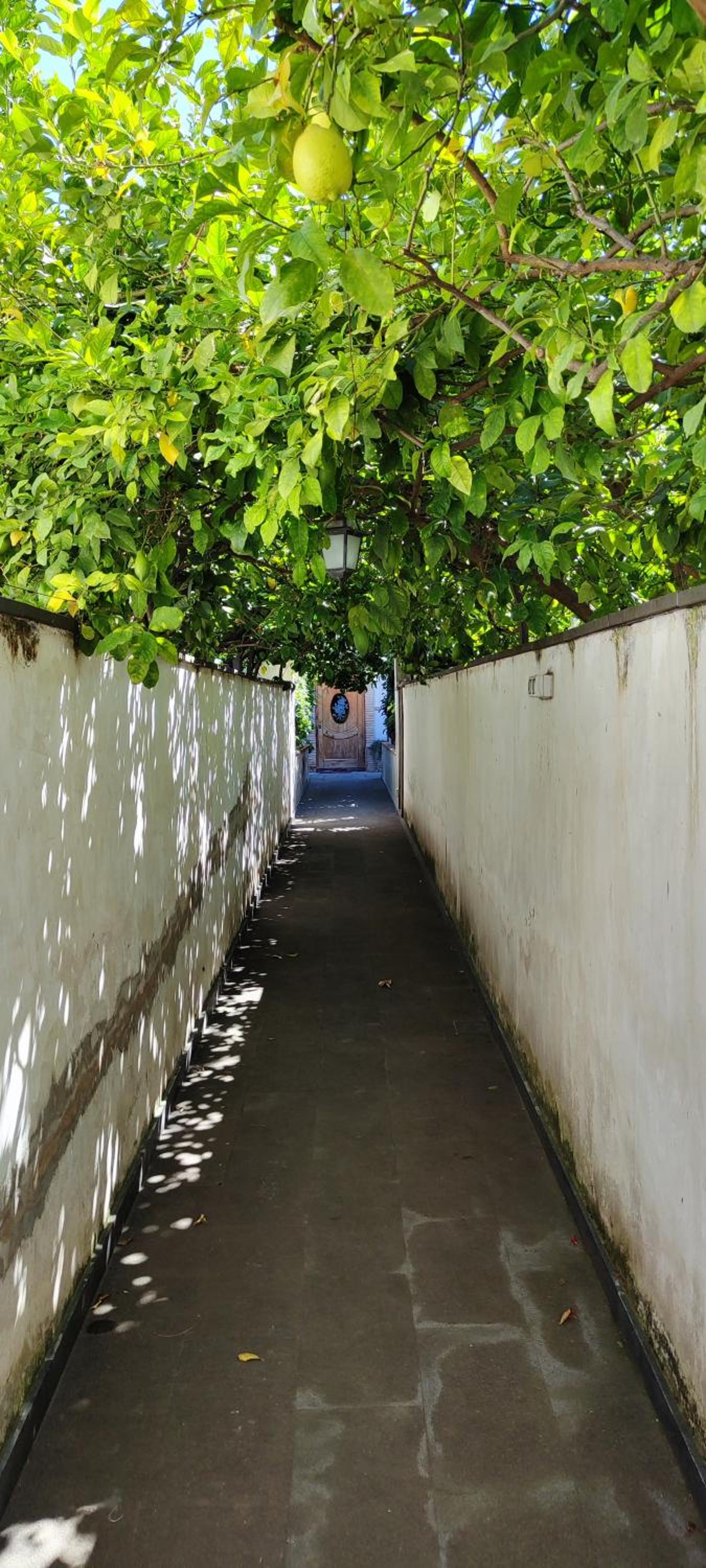 Casa Teresinella Garden view 3