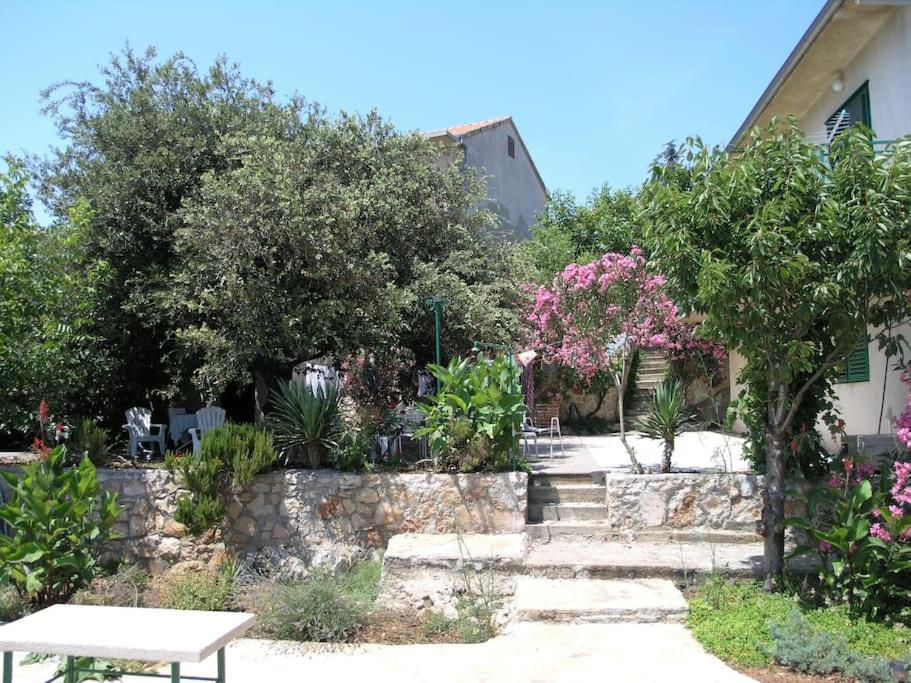 Photo 44