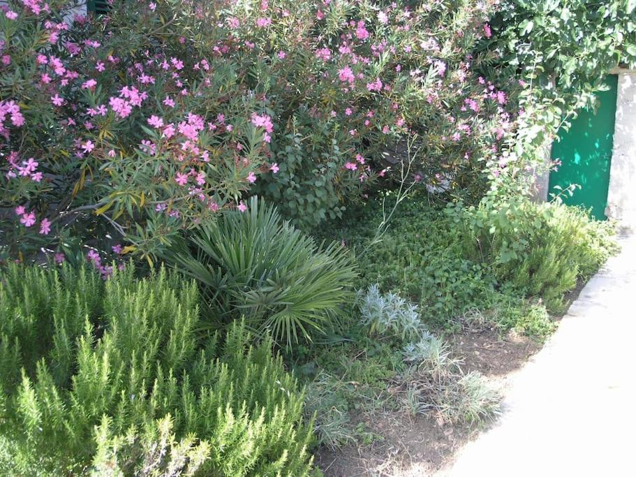 Photo 51