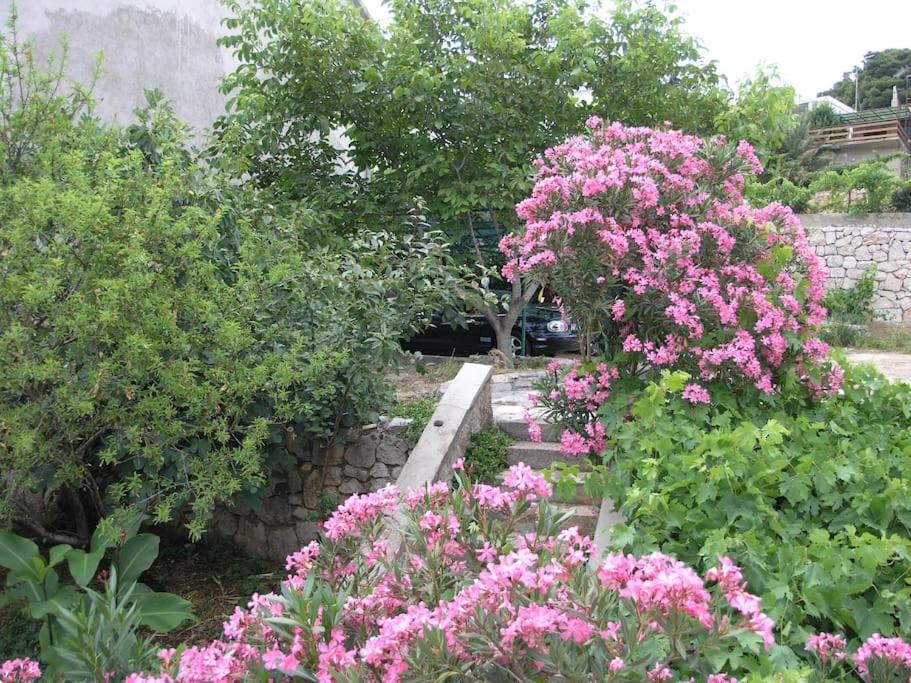 Photo 28