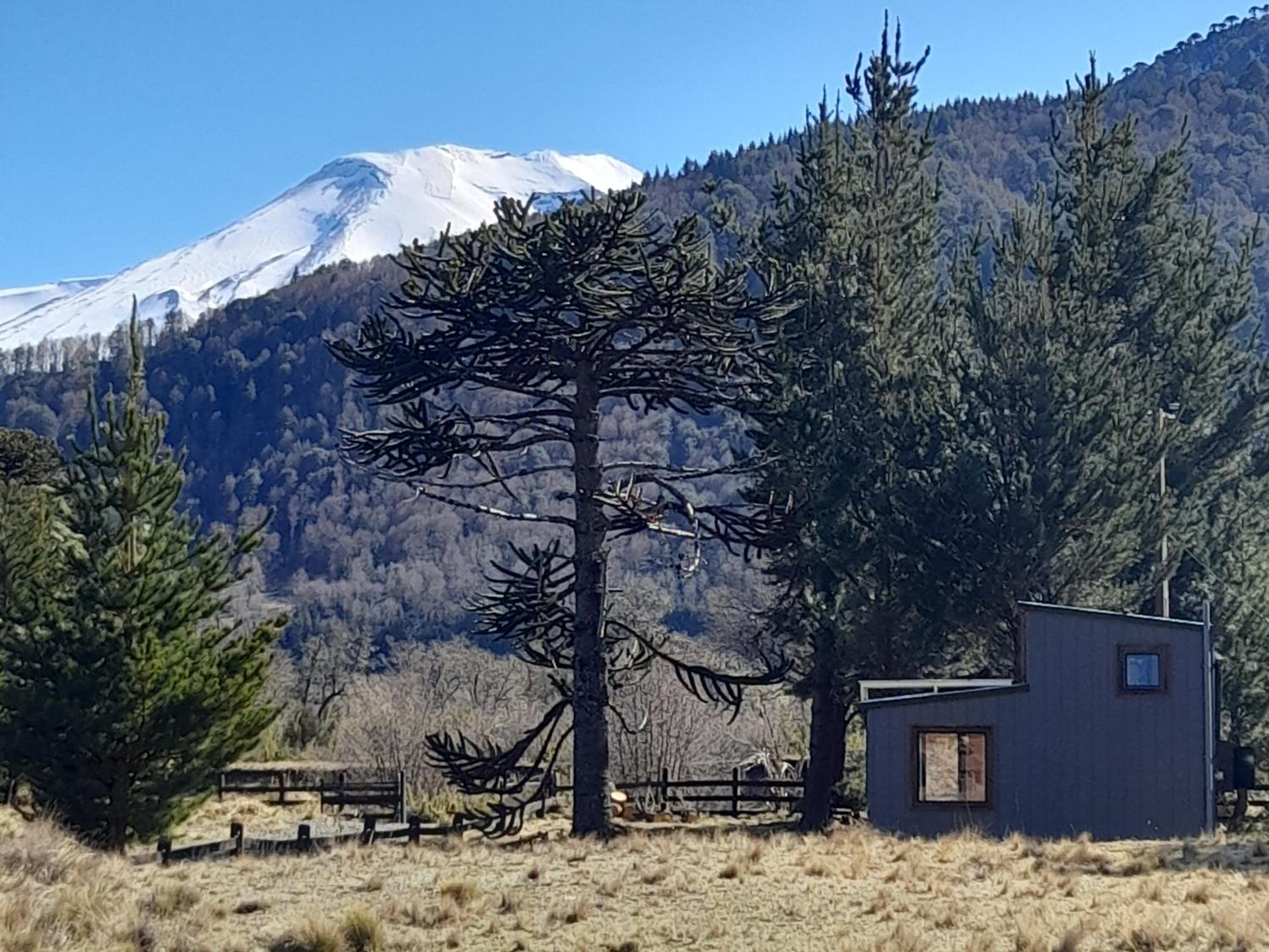 Rucautín Tiny Cabin