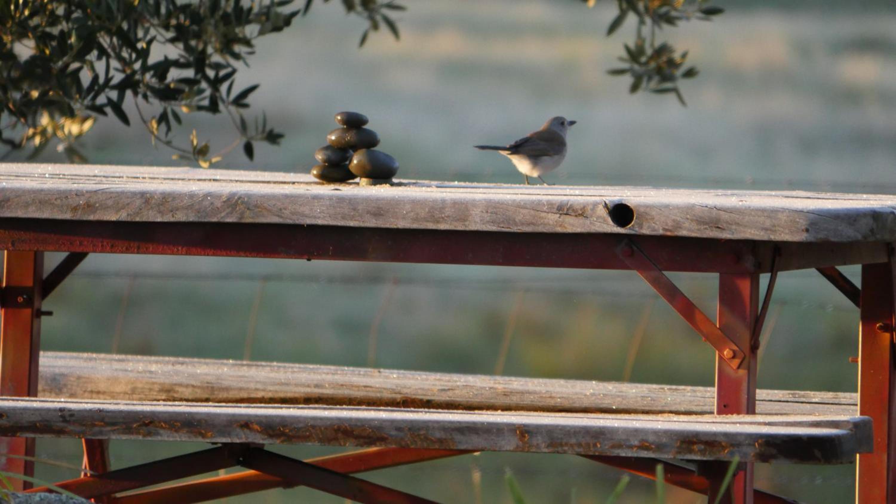 Candlebark Retreat