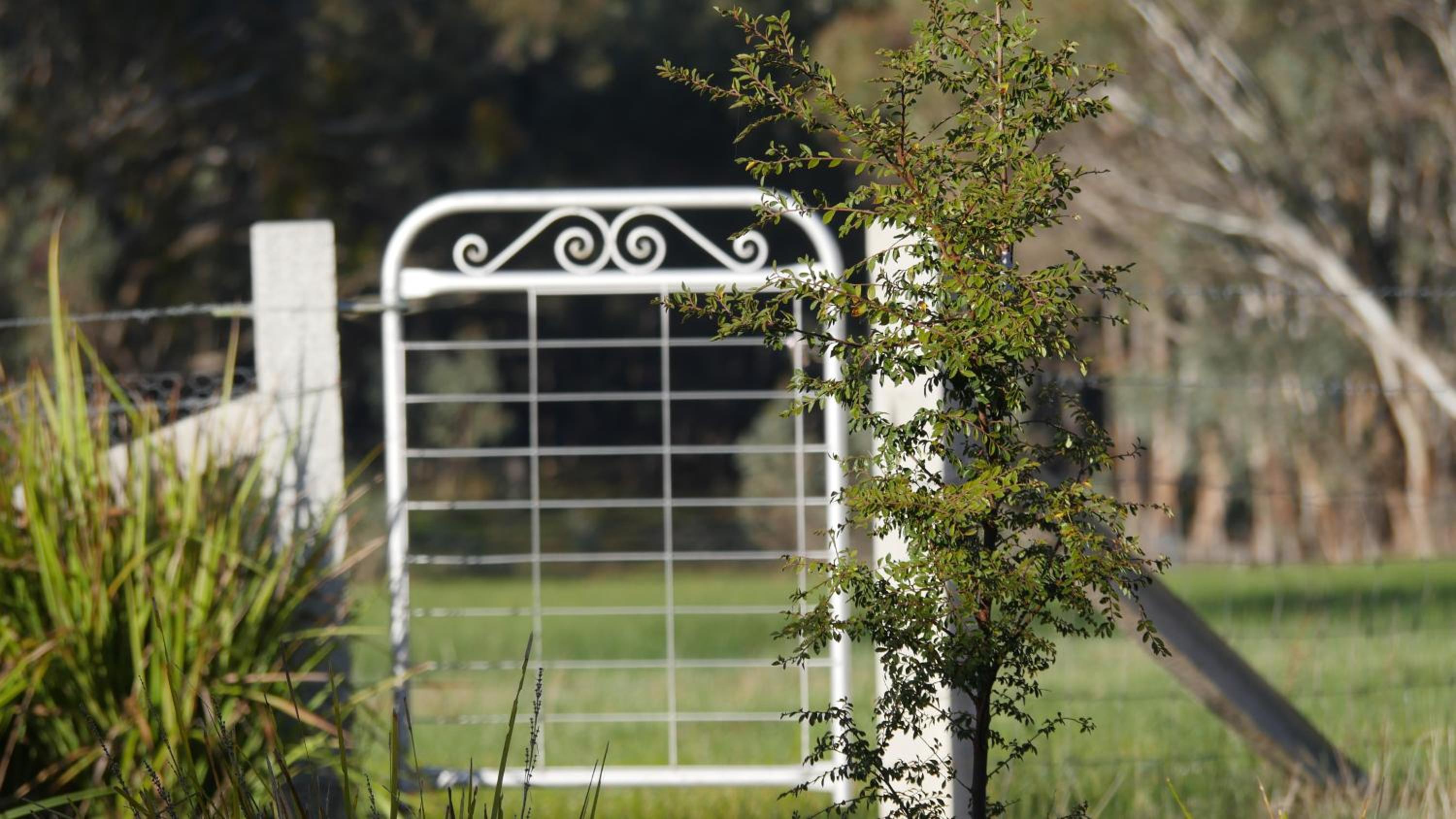 Candlebark Retreat
