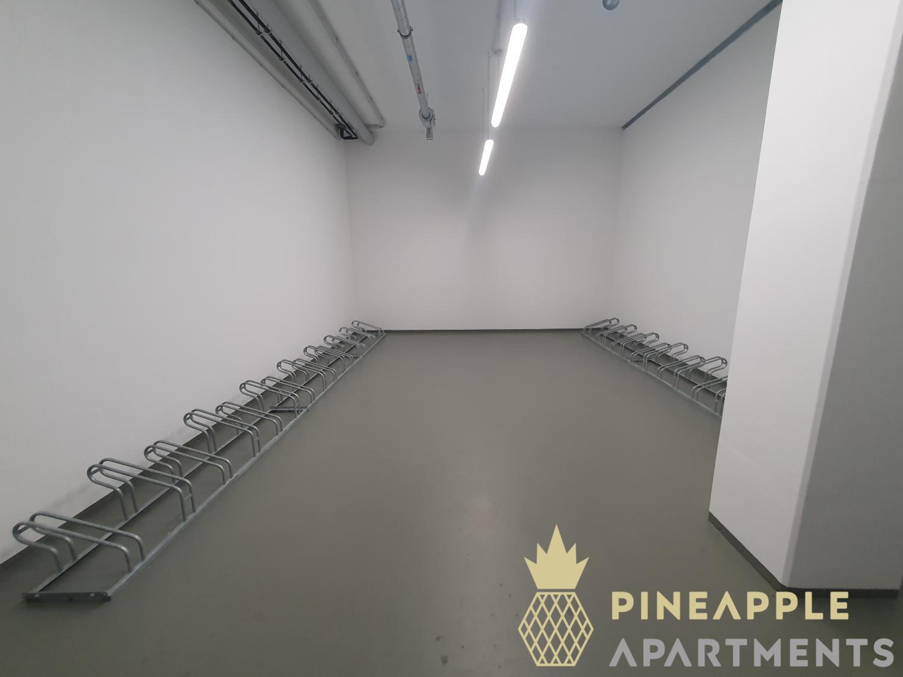 Dresden Vacations - Pineapple Apartments Dresden Altstadt III - 91 qm - 1x free parking - Property Image 3