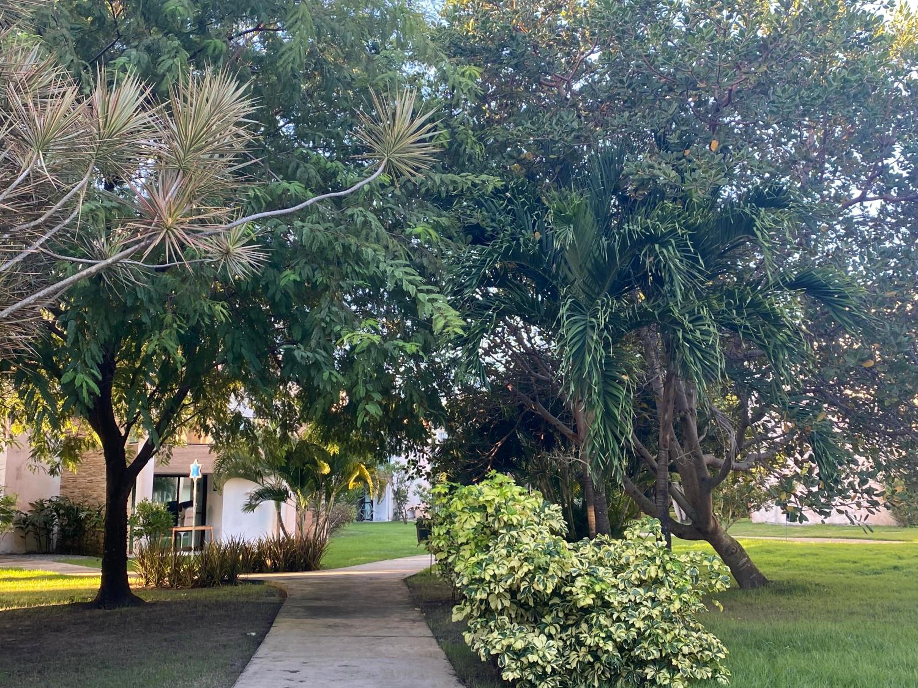 garden