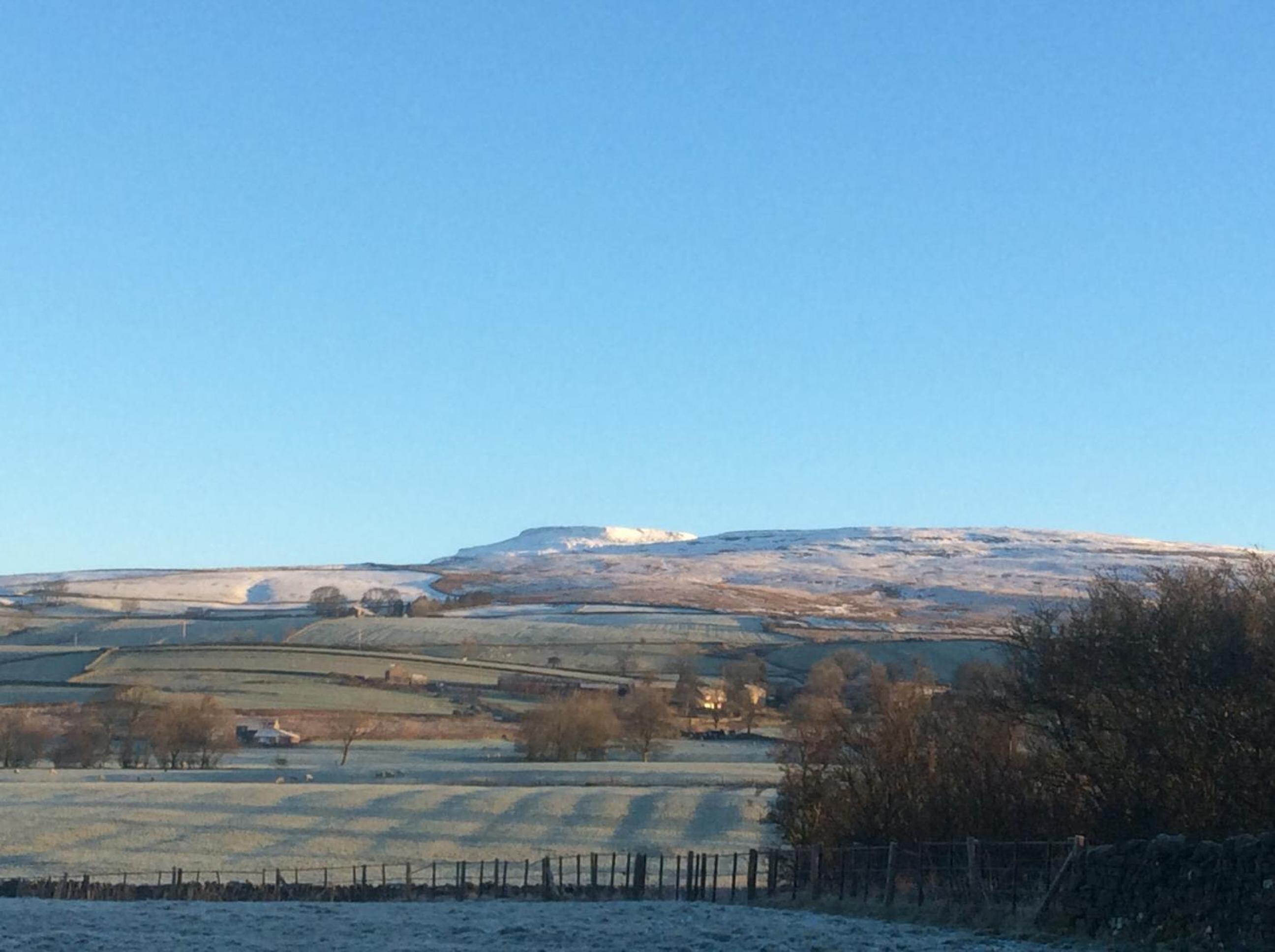 Moor View 7